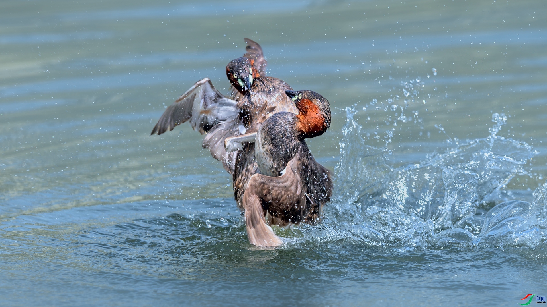 С���e����֮��  ���� ��Ů��·�� ����.jpg