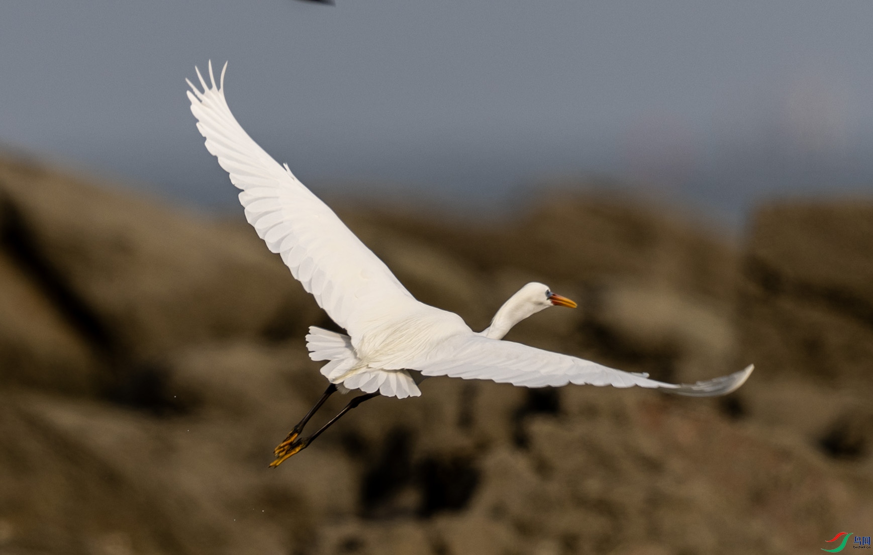 �������287 ����.jpg