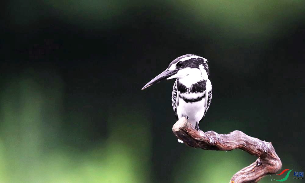 ���� ���㹷2.jpg