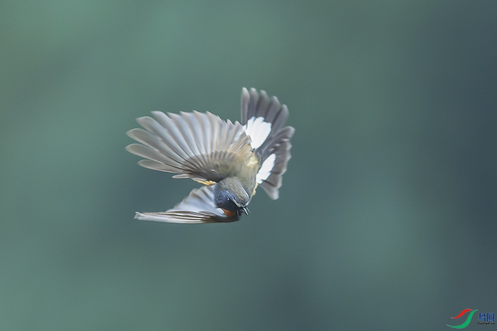 0F7A6724 ����.jpg