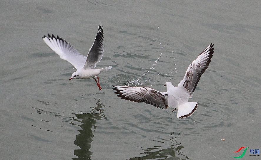 IMG_0202.JPG