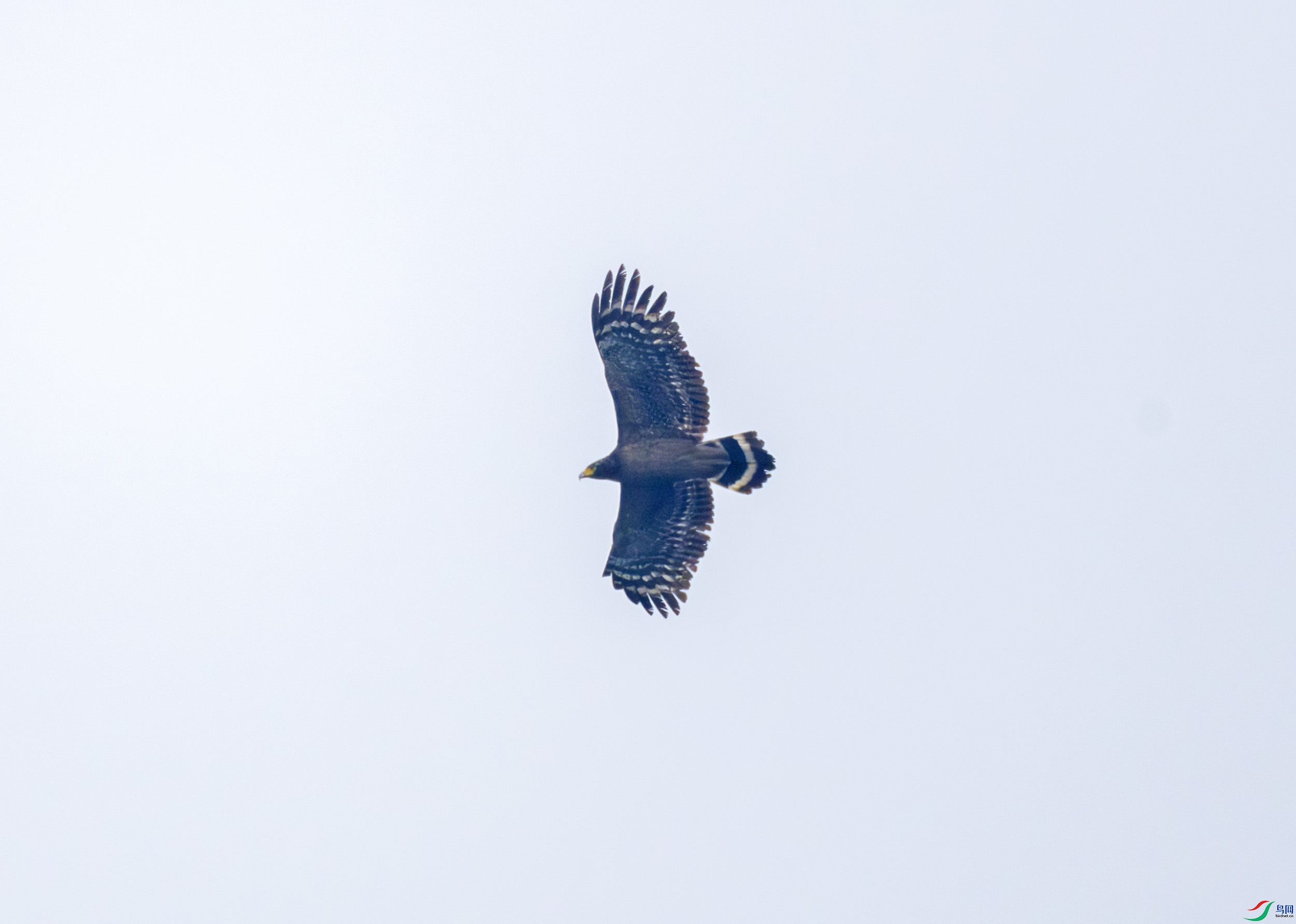 2I1A9144-����ǿ-NR ����.jpg