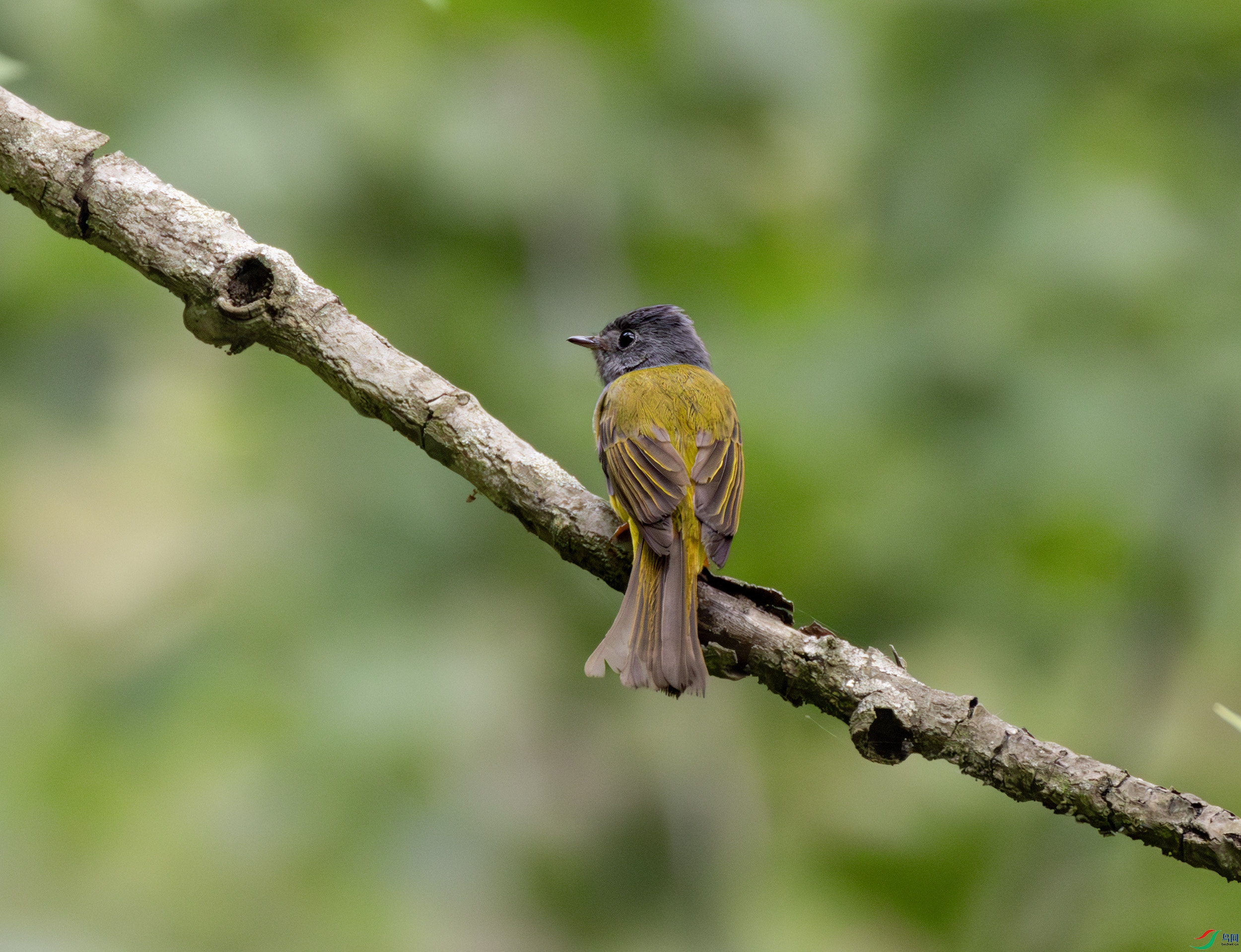 2I1A8946-����ǿ-NR ����.jpg