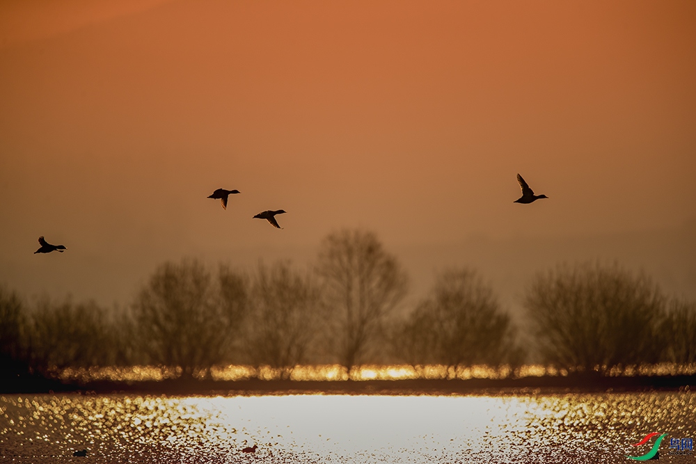 A63I8137 ����3.jpg