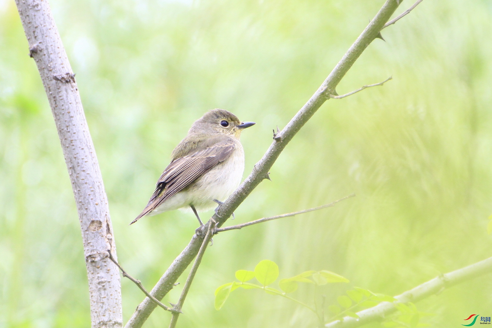 2   �����l  ����  _MG_9794.JPG