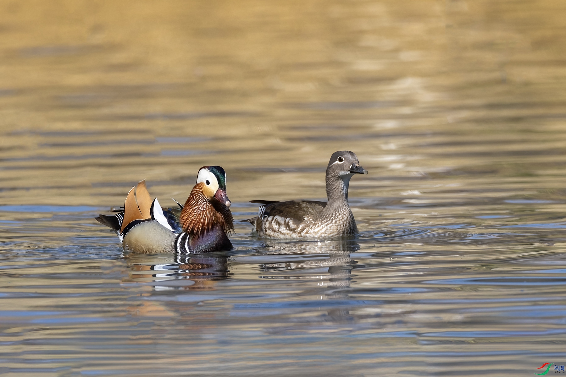 488A6996 ����.jpg