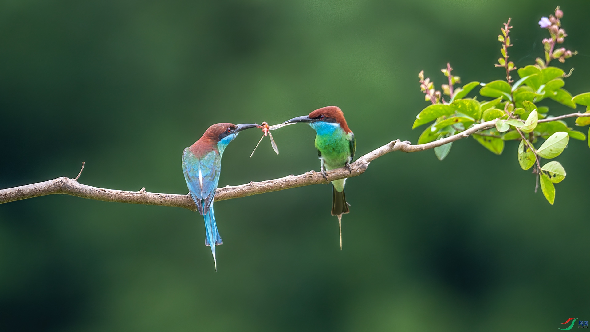 DSC_9843-����ǿ-NR.jpg