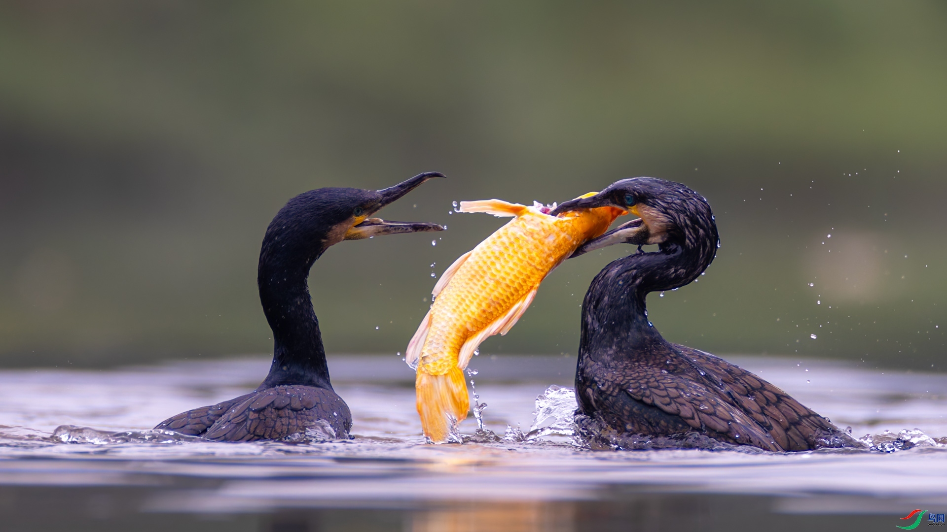 4.24����716��ʦ��Ʒ   �ҵ� ��ף���ٻ��Ա������.jpg