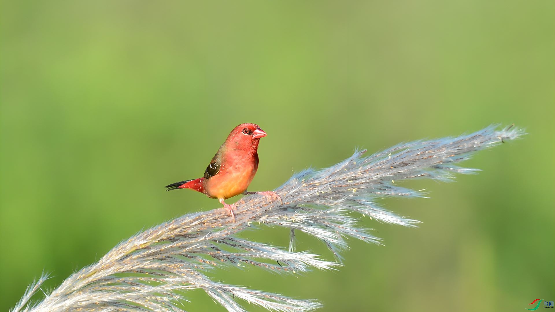 DSC_4067_����.jpg