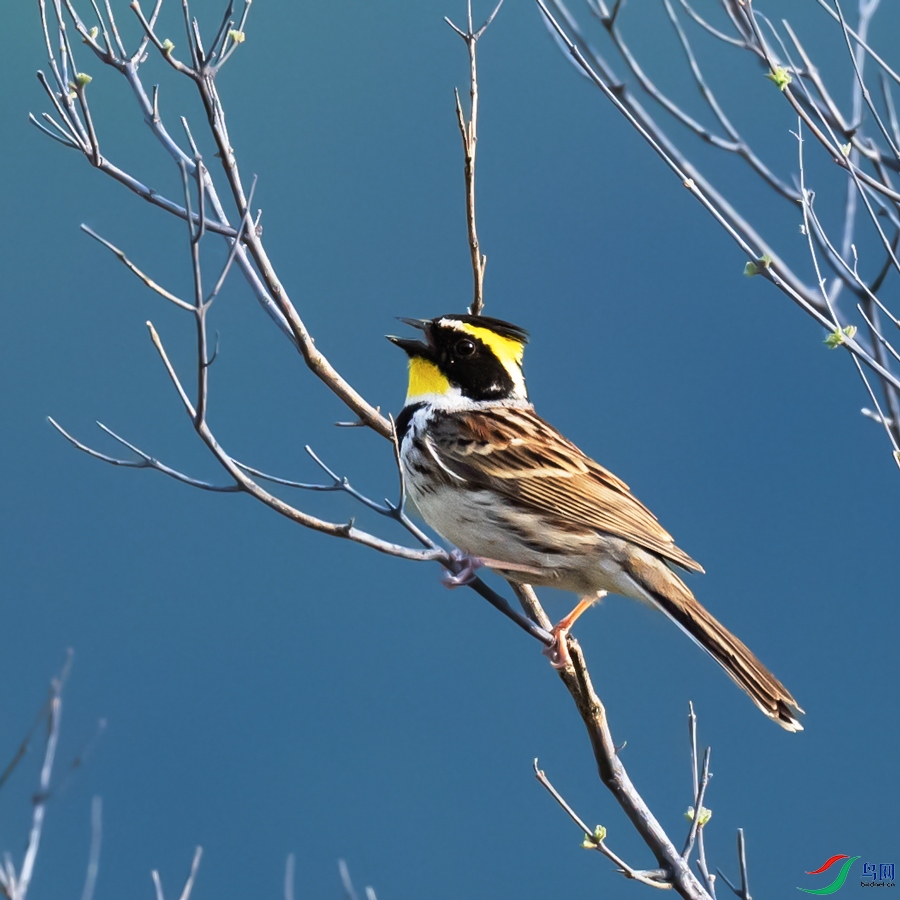 _DSC8393.jpg