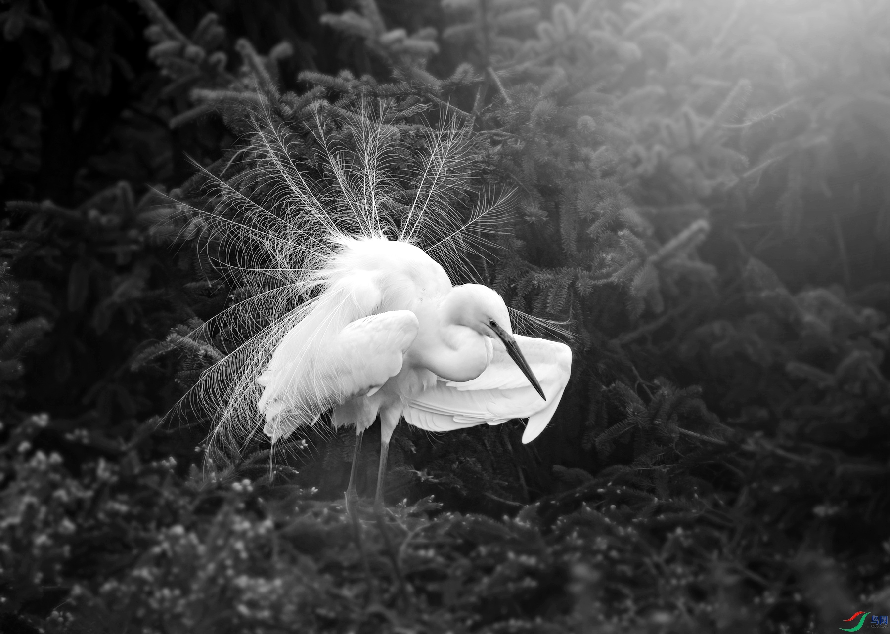 DSC06726 ����_����_����.jpg