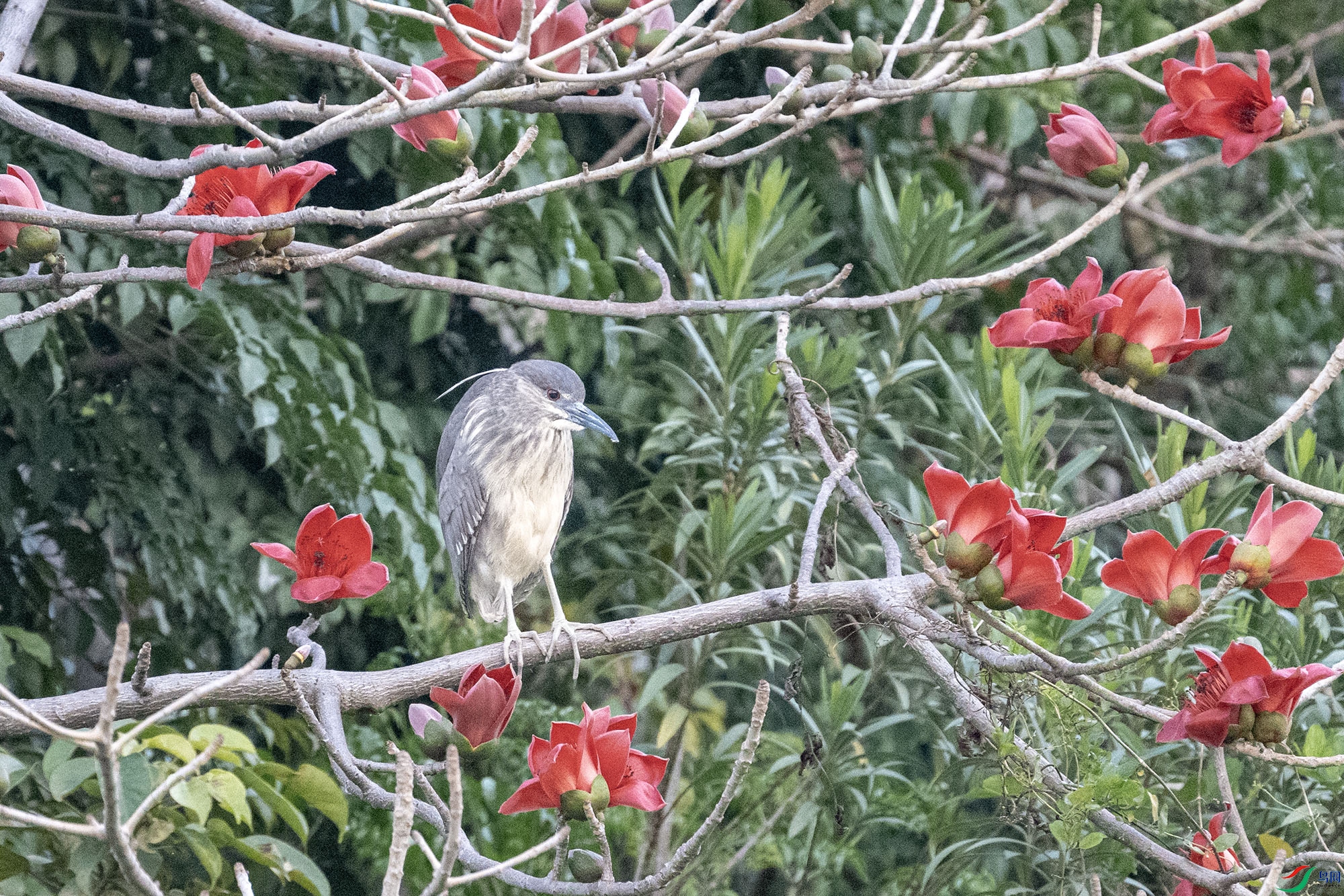 DSC_2084.jpg