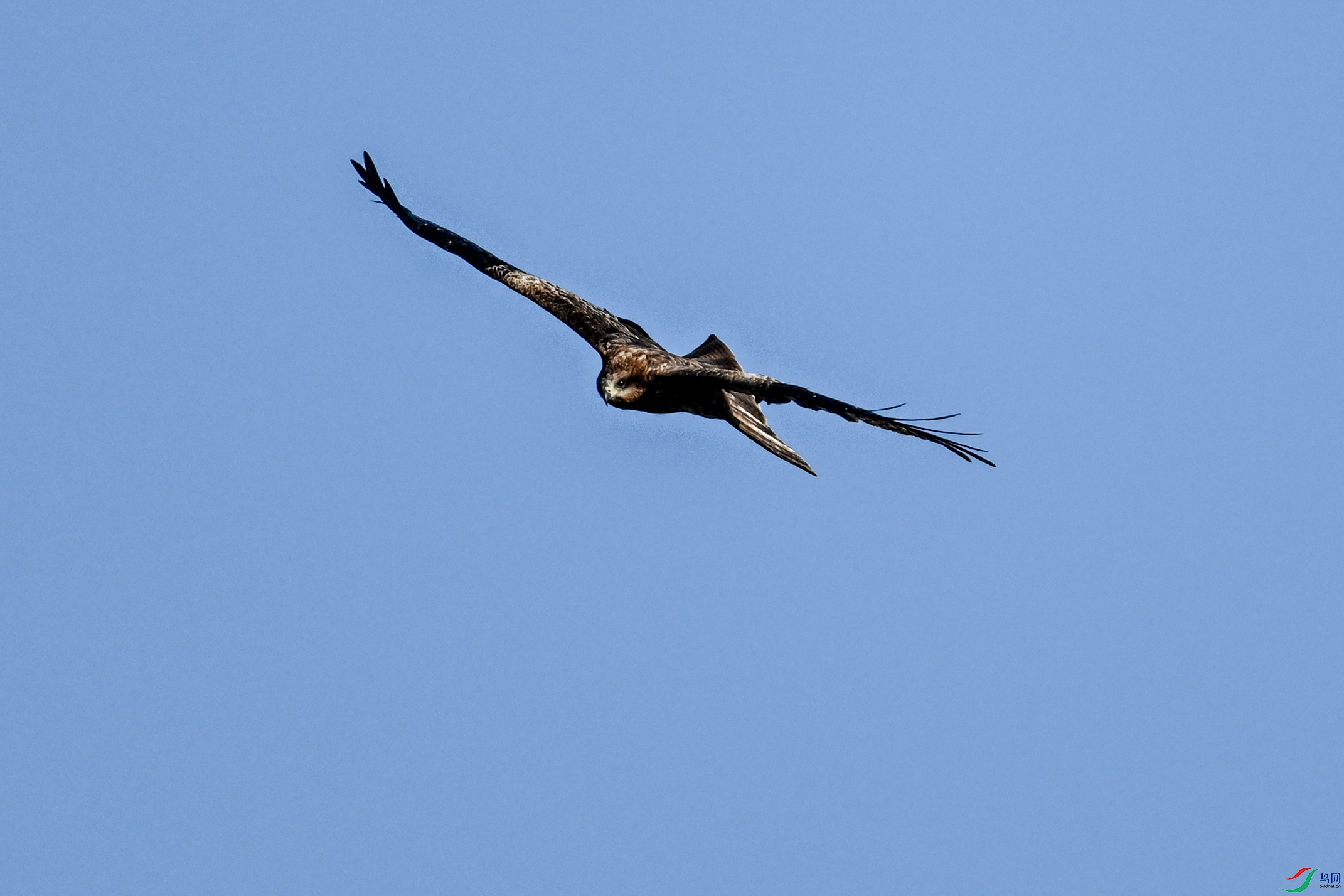 DSC_8514.JPG