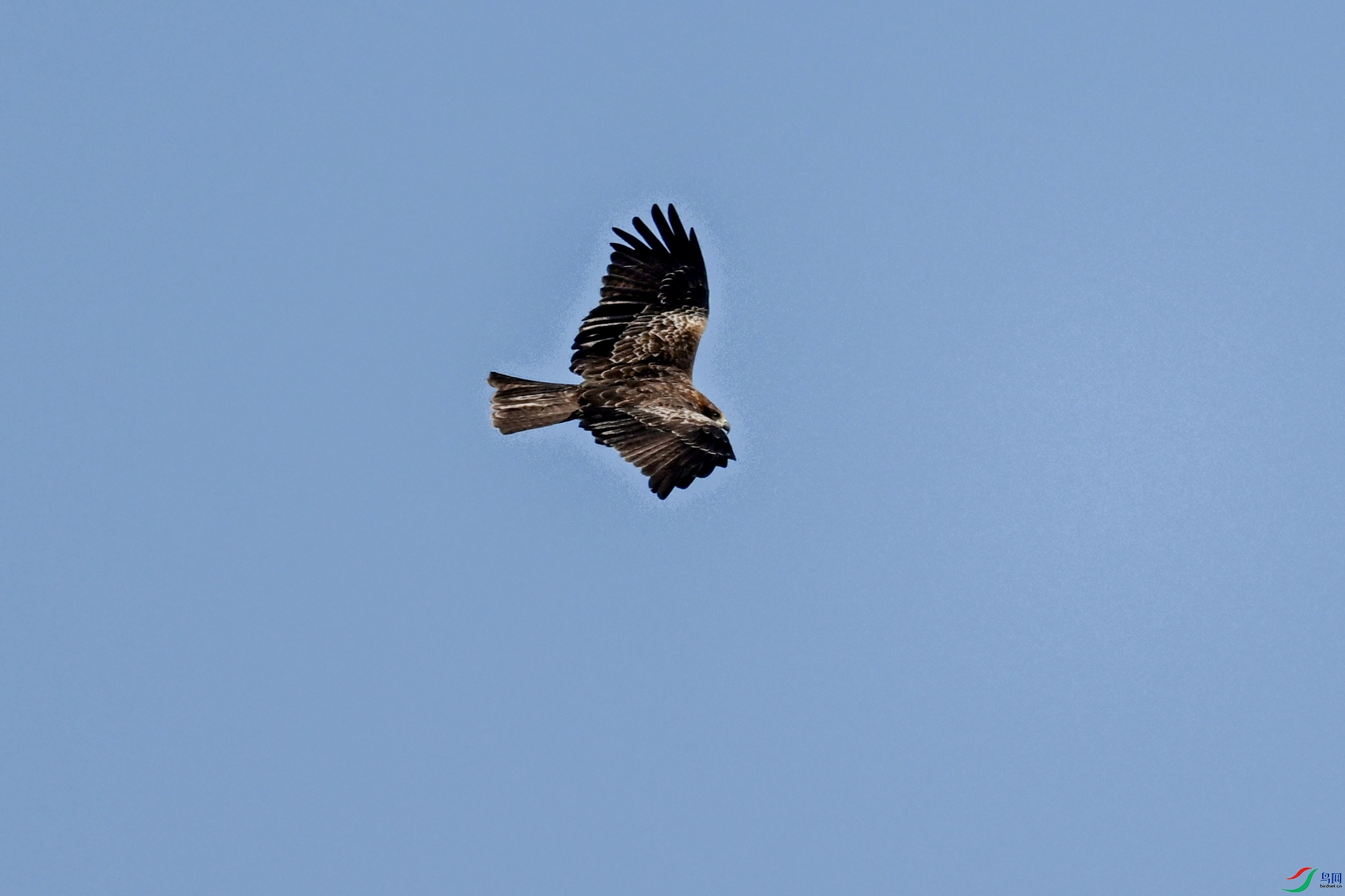 DSC_8495.JPG