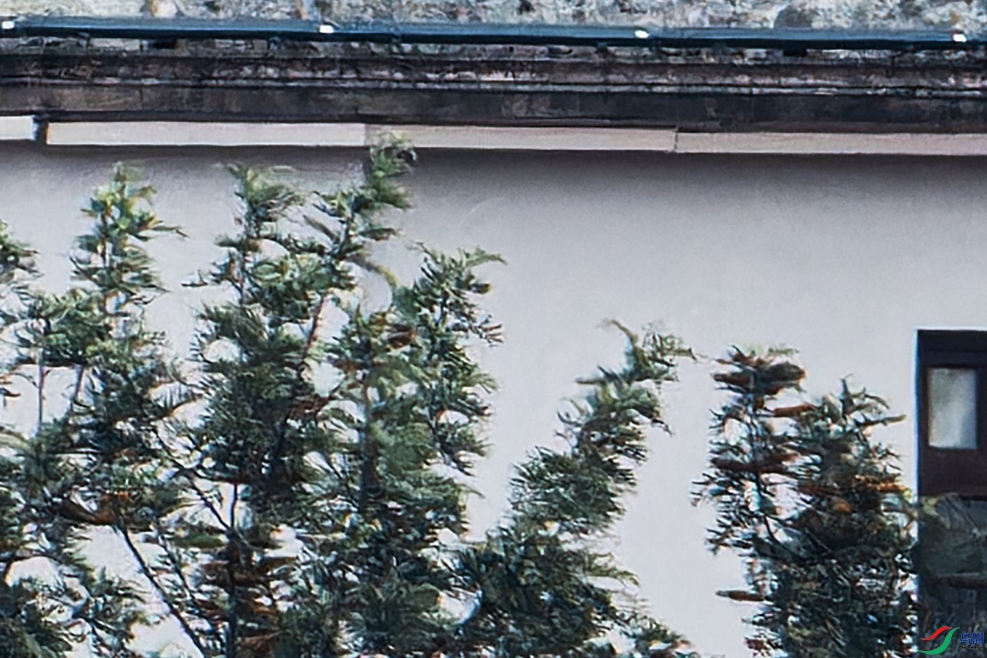 03-3250-200 _����.jpg