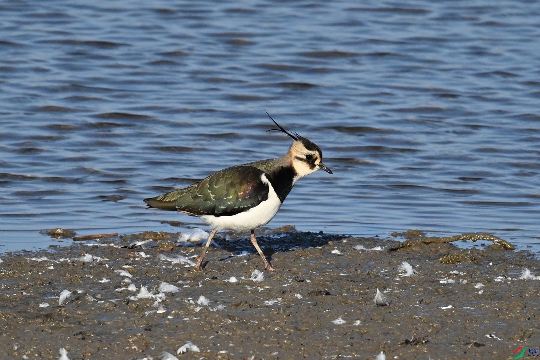 DSC_8655.JPG
