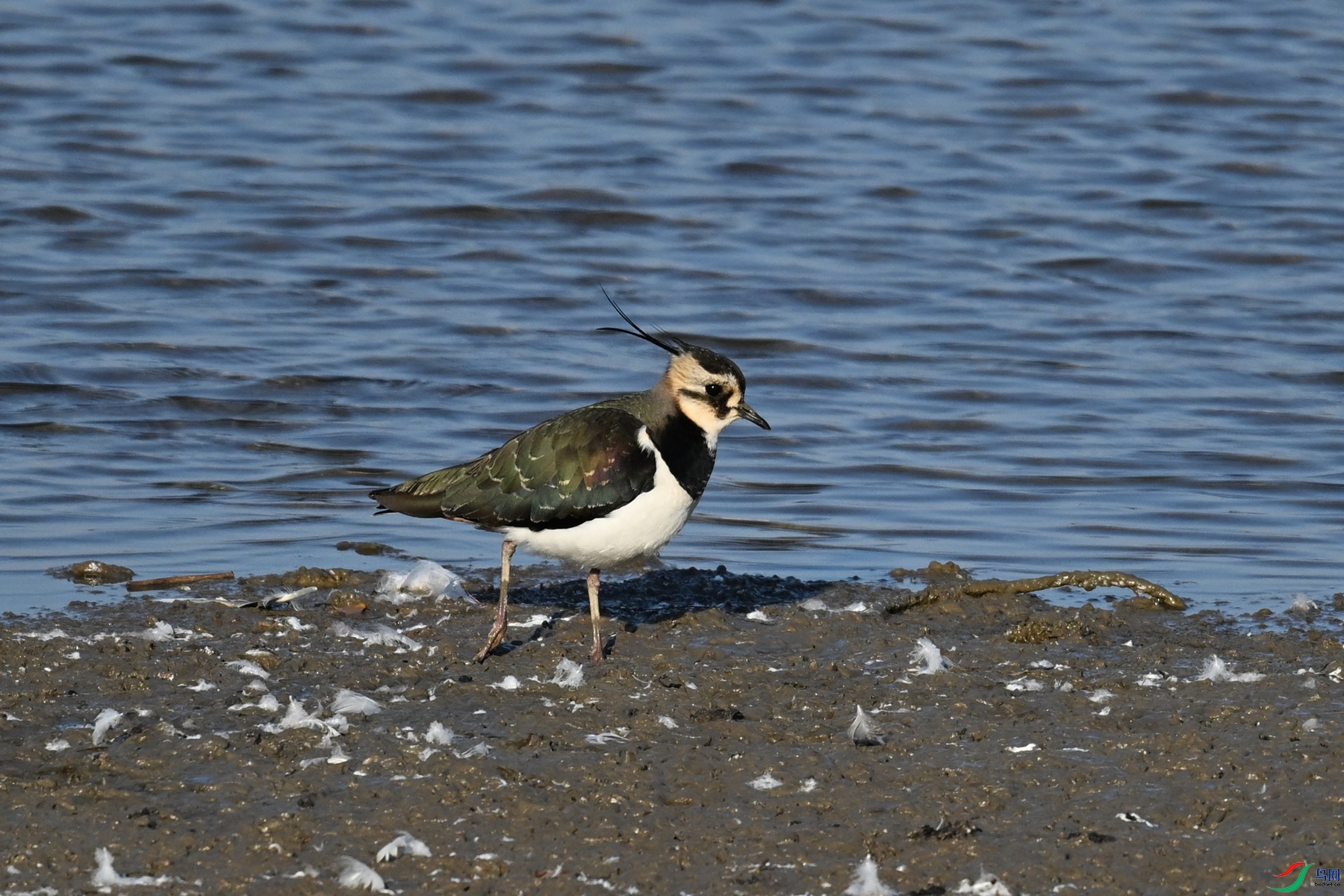 DSC_8659.JPG