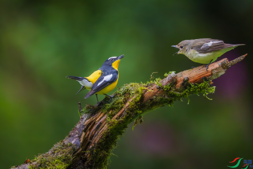 �������ѡ�����ô�����ҡ����ٻ����Ѿ�������ɽ���� 28.png