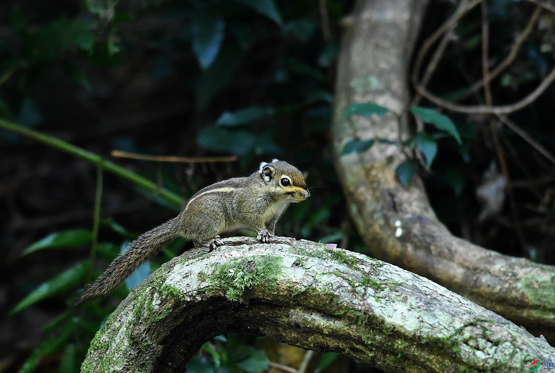 DSC_6022.jpg