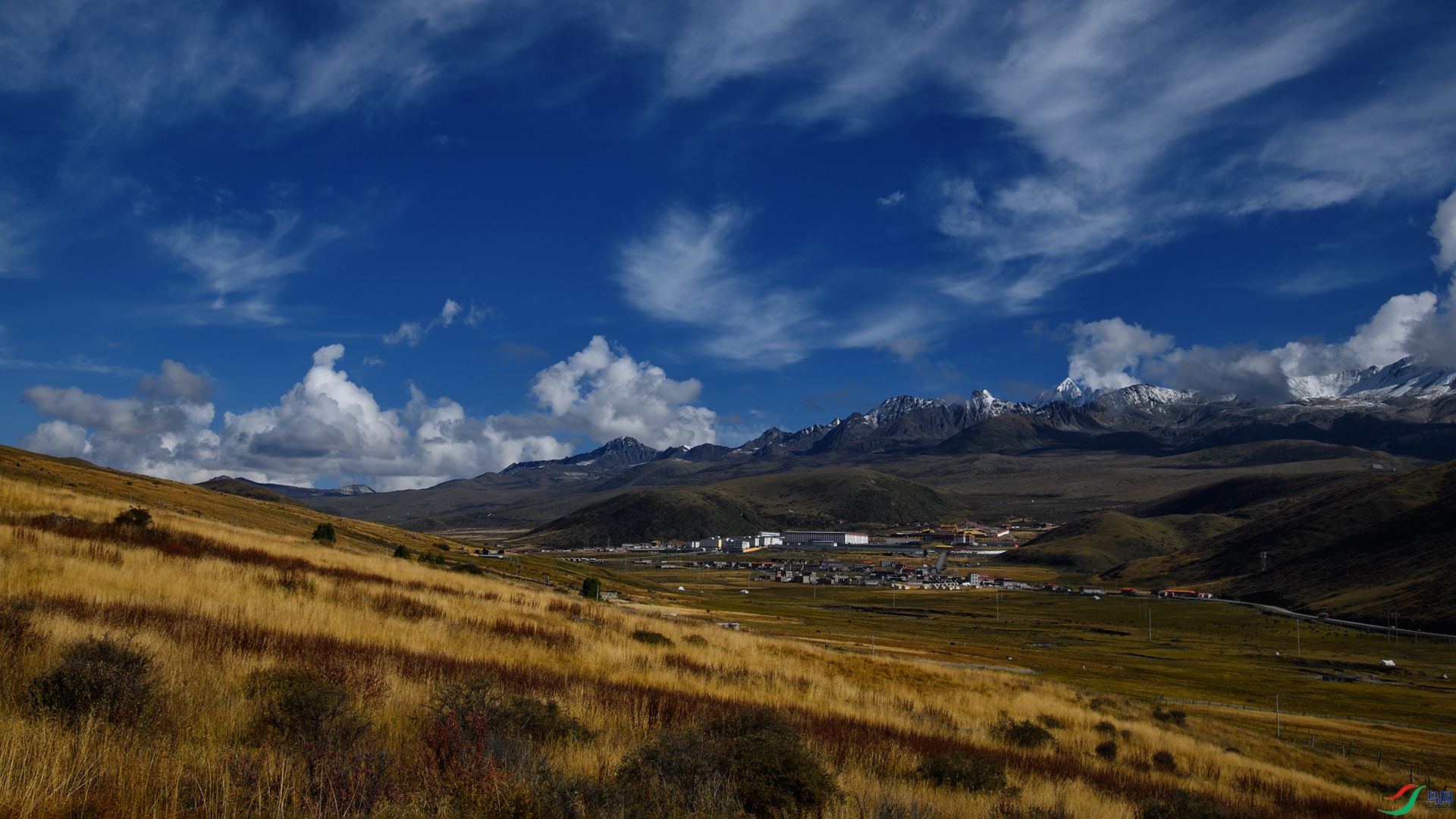 DSC_2754-20241124�ü�.jpg