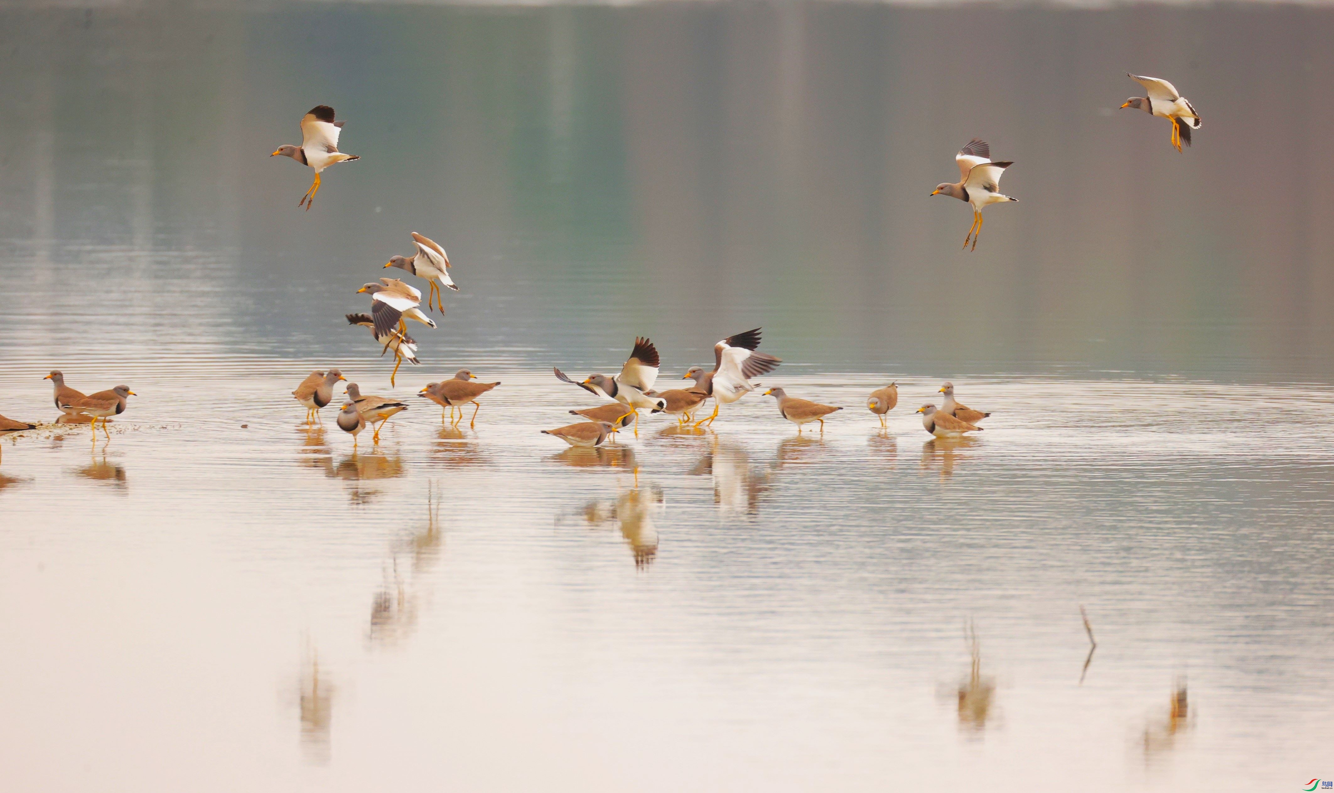 ���� (2).jpg