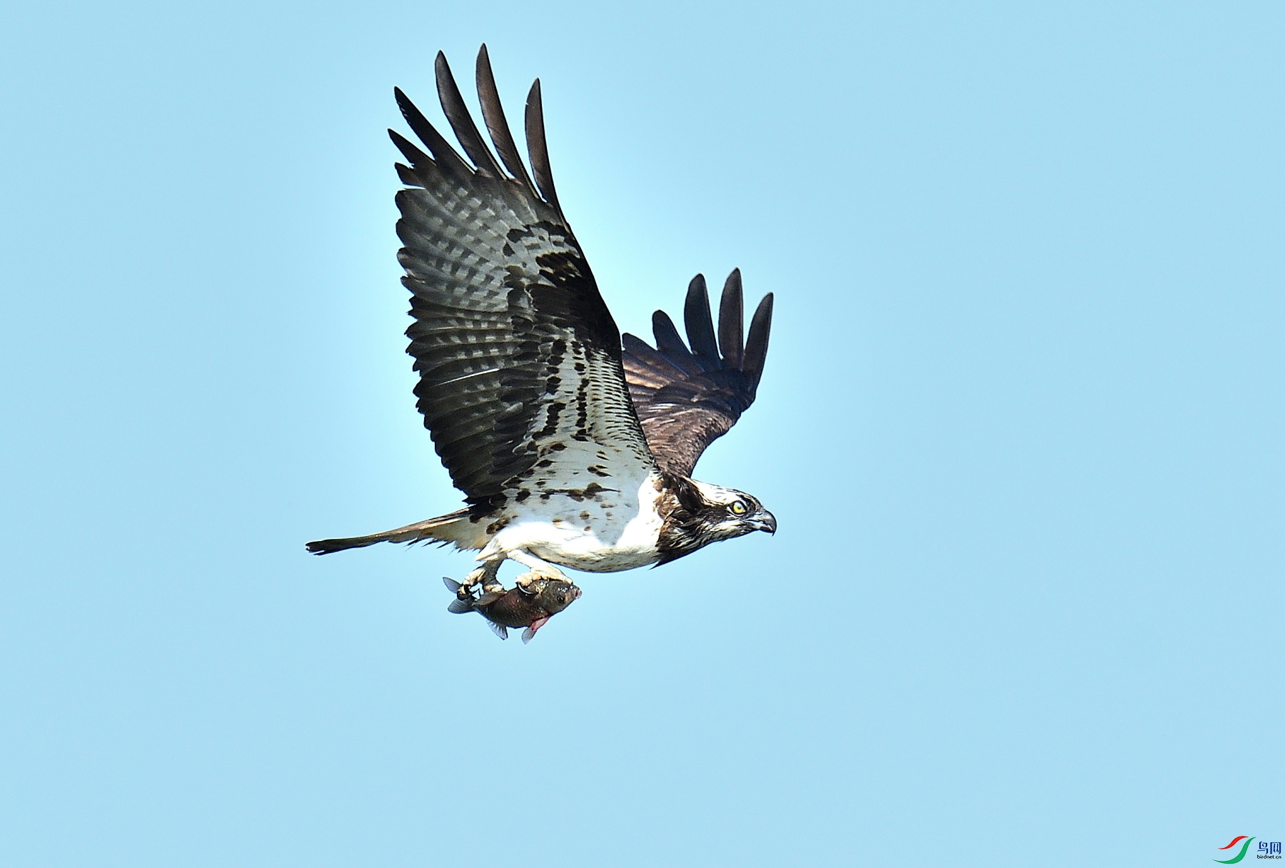 DSC_8558.JPG
