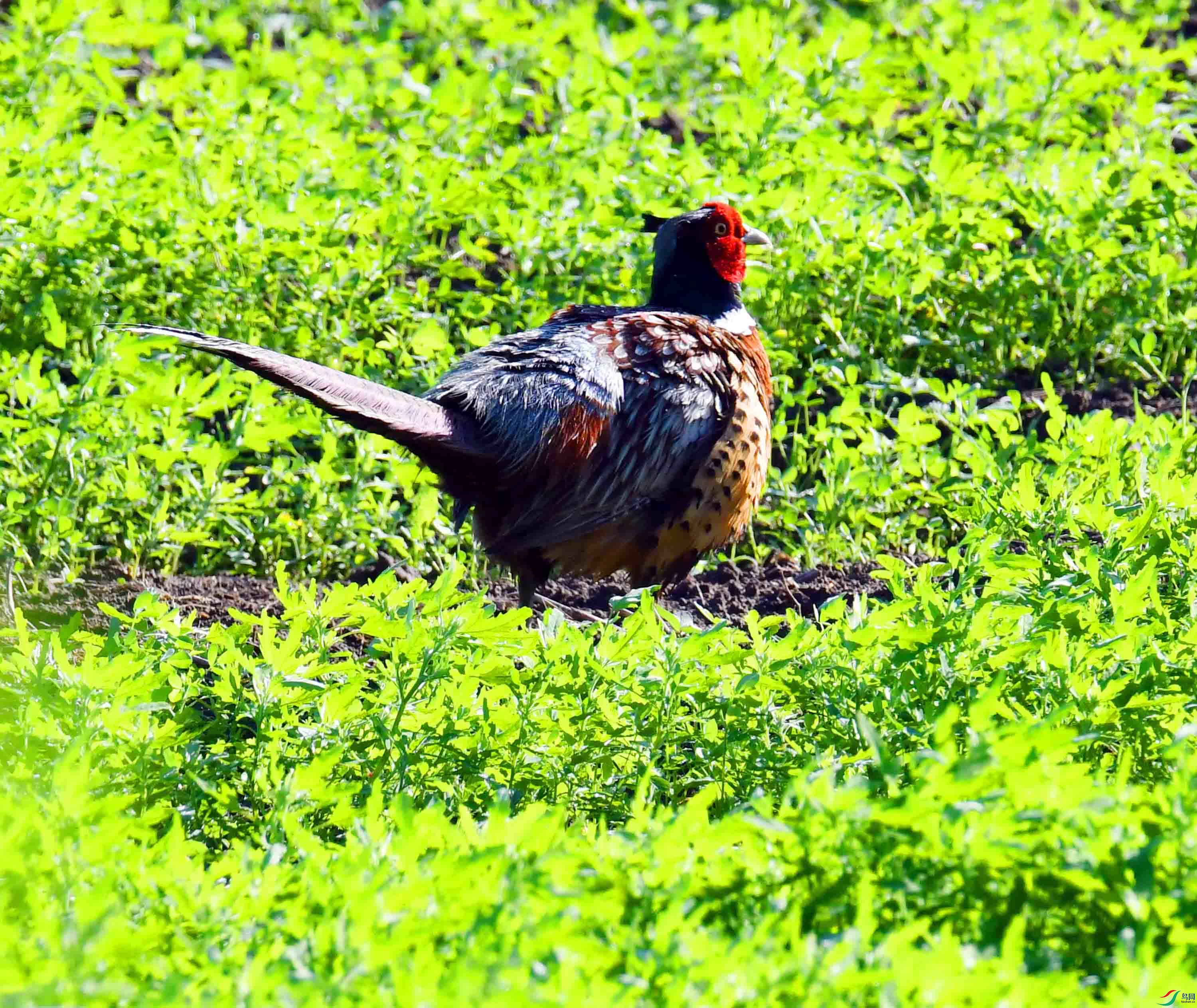 DSC_3149.JPG