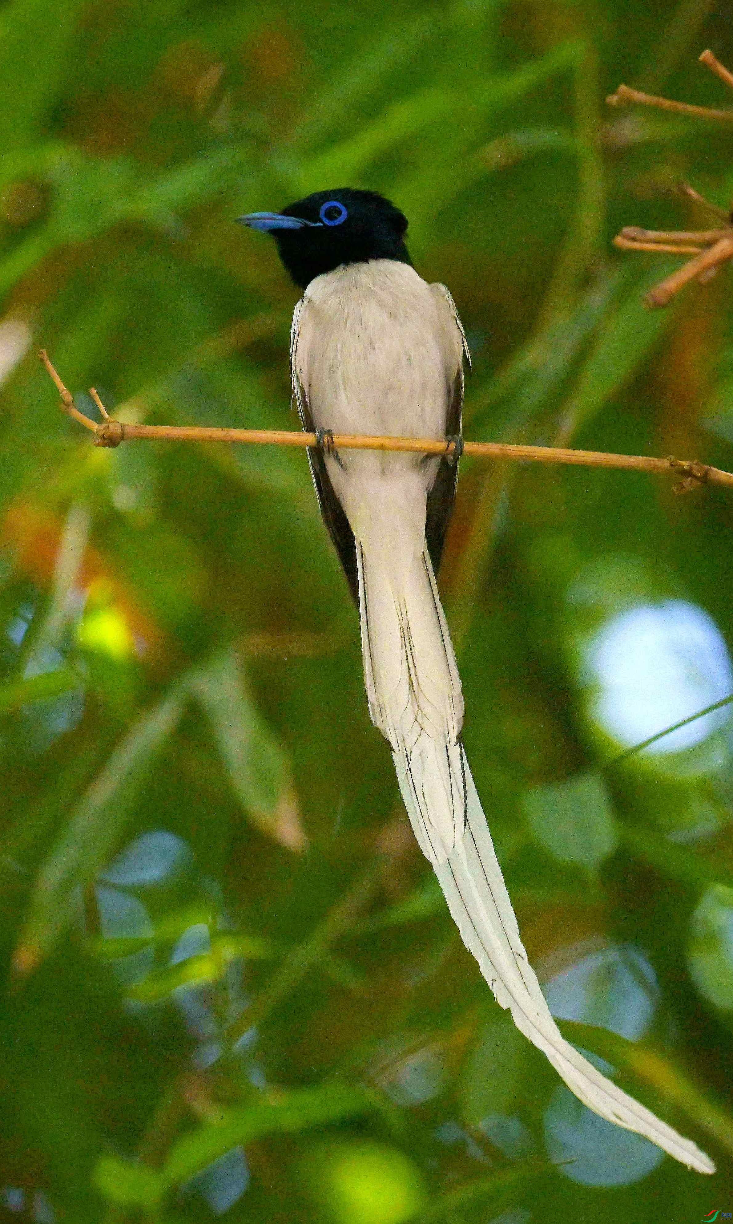 DSC_4950.jpg