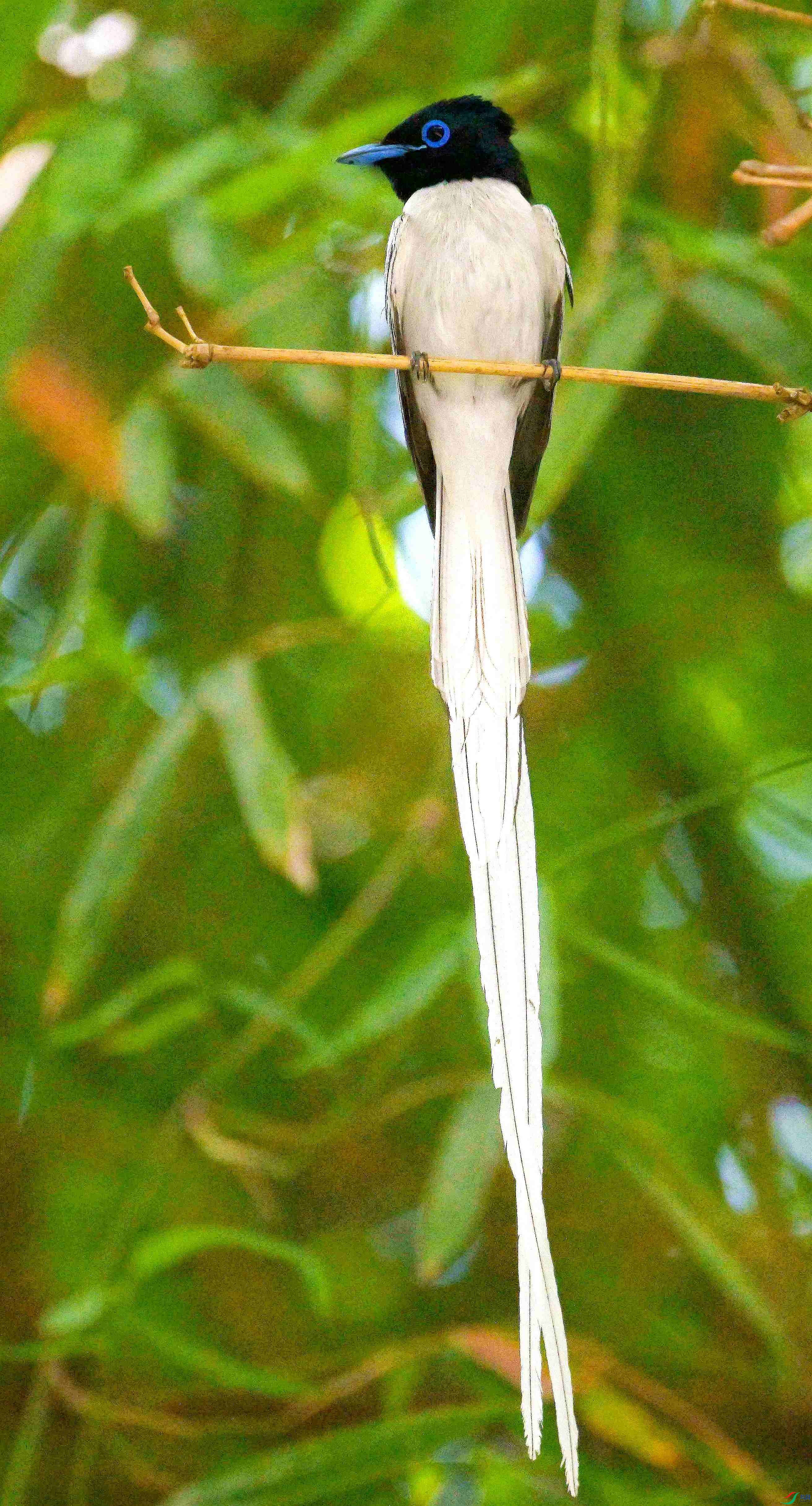 DSC_4784.jpg