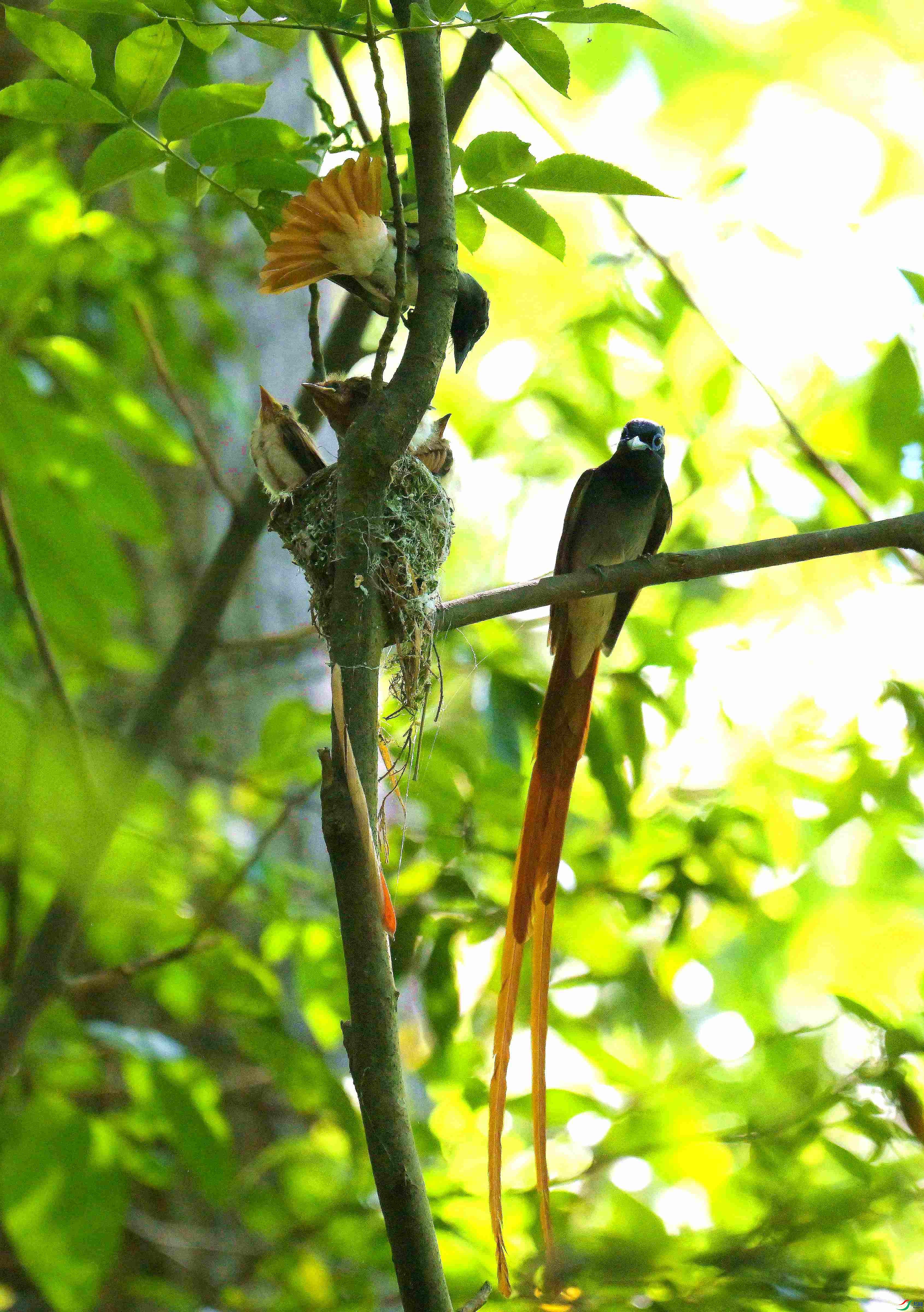 DSC_6259.jpg