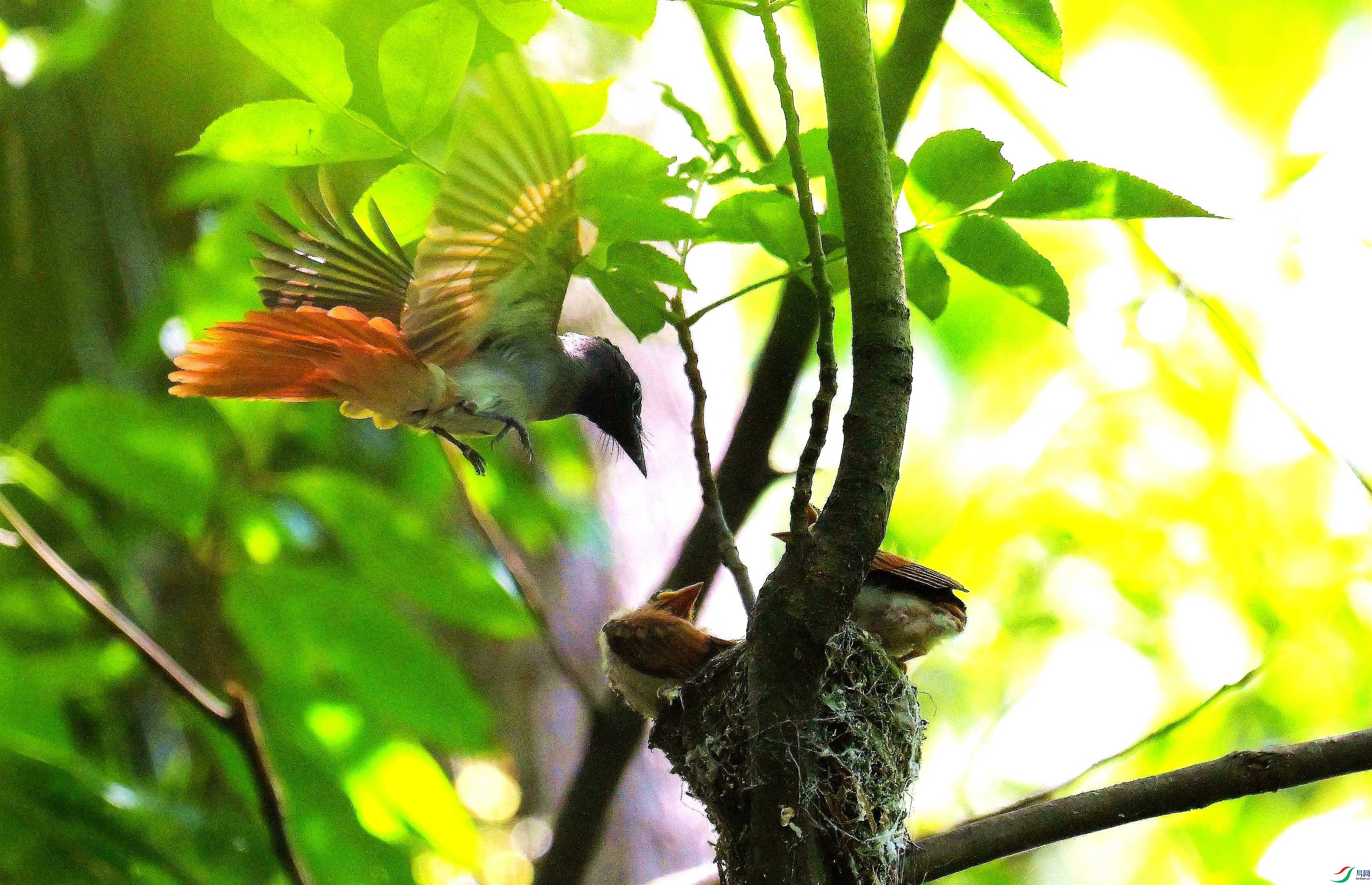 DSC_5505.jpg