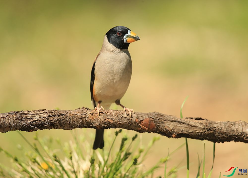 D72T6843.JPG