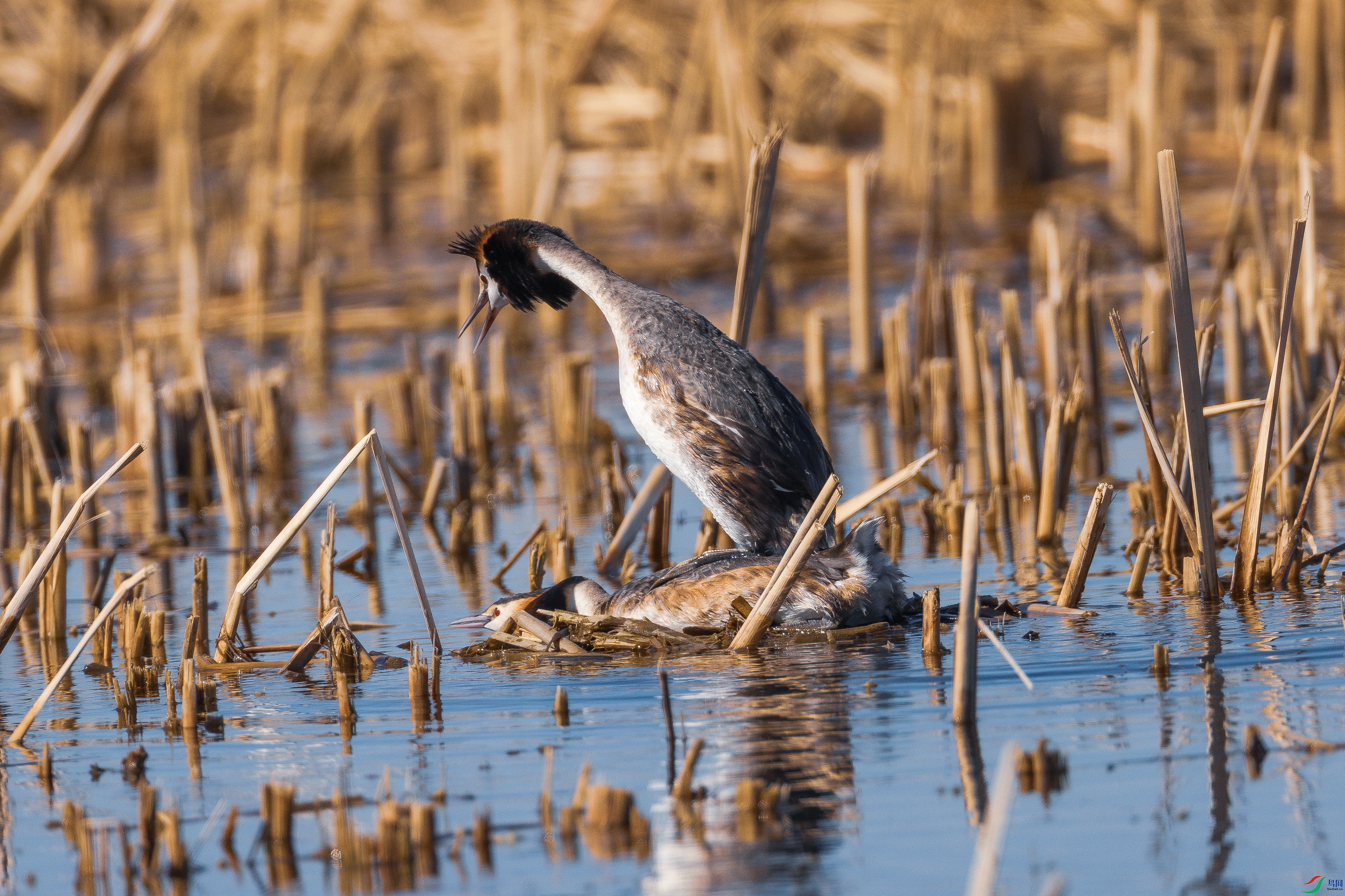 ����ʱ��