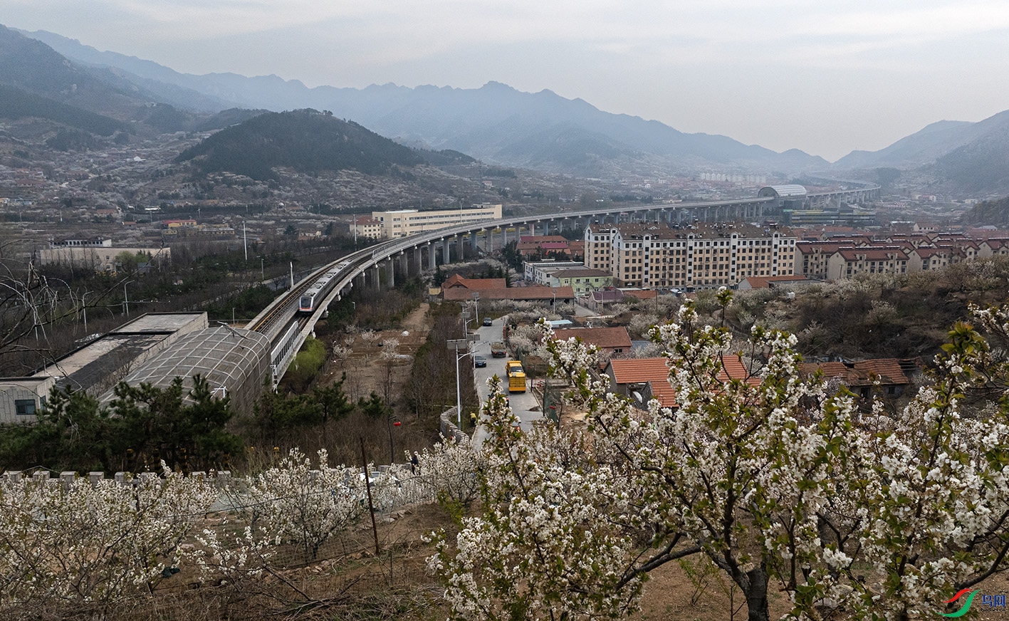 DJI_20250326164823_0040_D ����.jpg