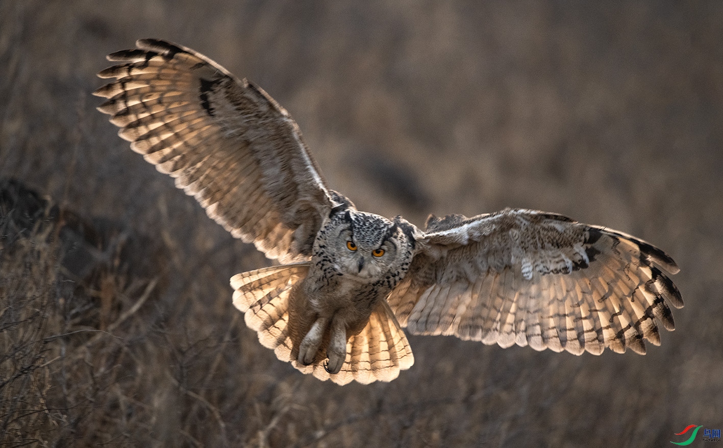 DSC_8420 ����.jpg