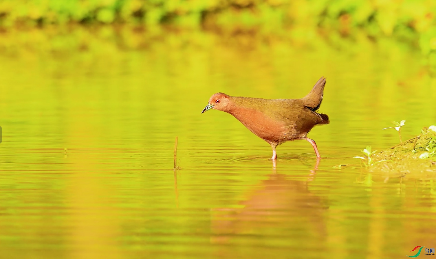 {8FD41EBF-3C62-4334-A2EA-8DC603FF2532} ����.jpg