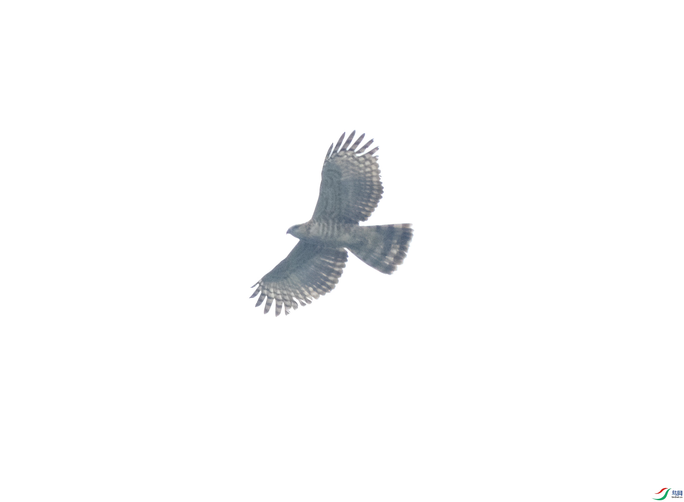 2I1A9856 ����.jpg