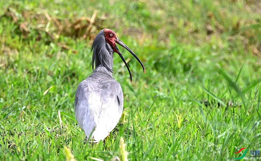 DSC_6811.JPG