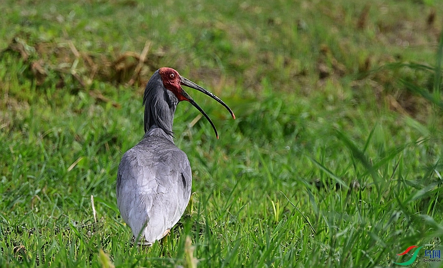DSC_6812.JPG