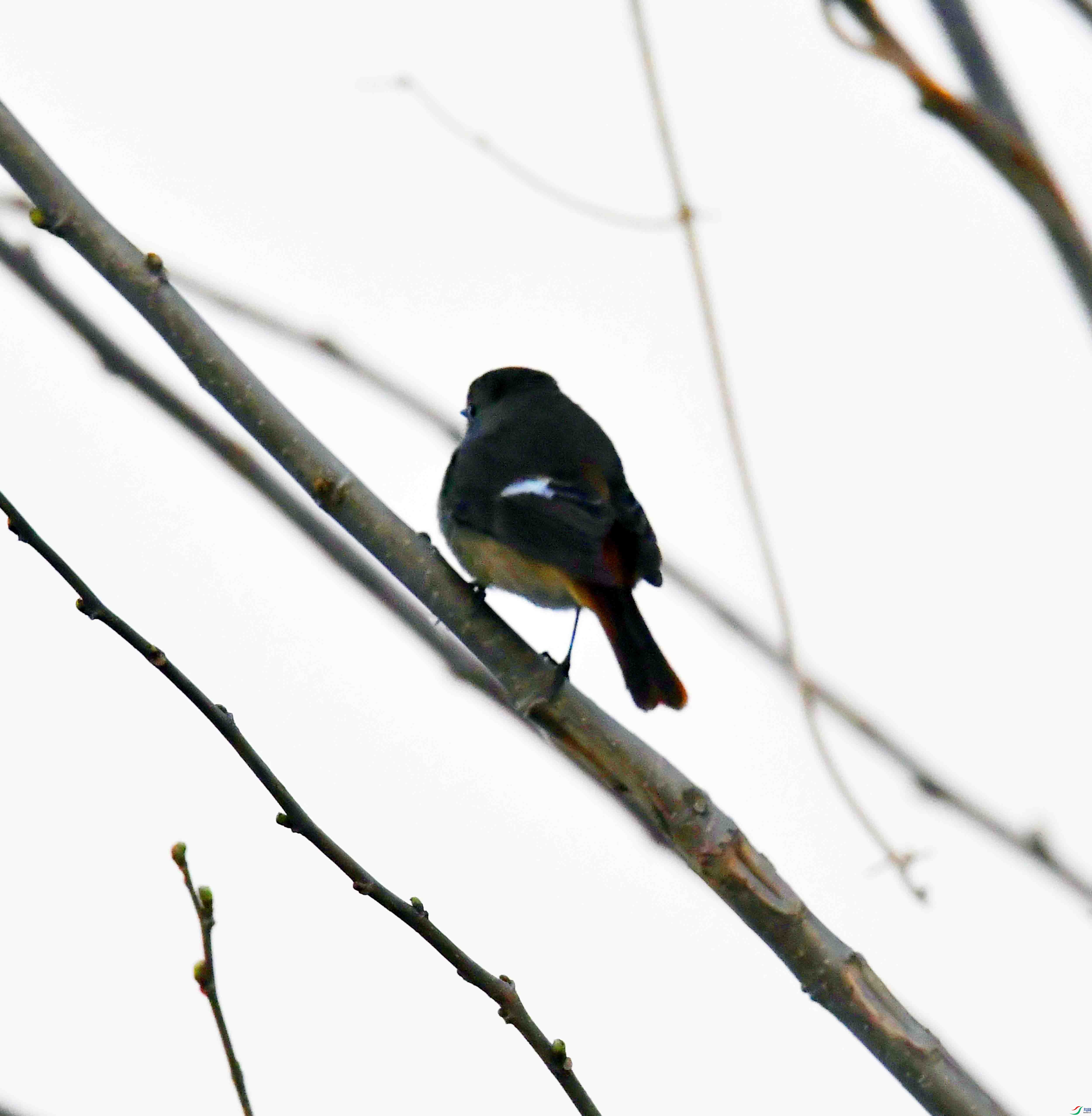 DSC_8795.JPG