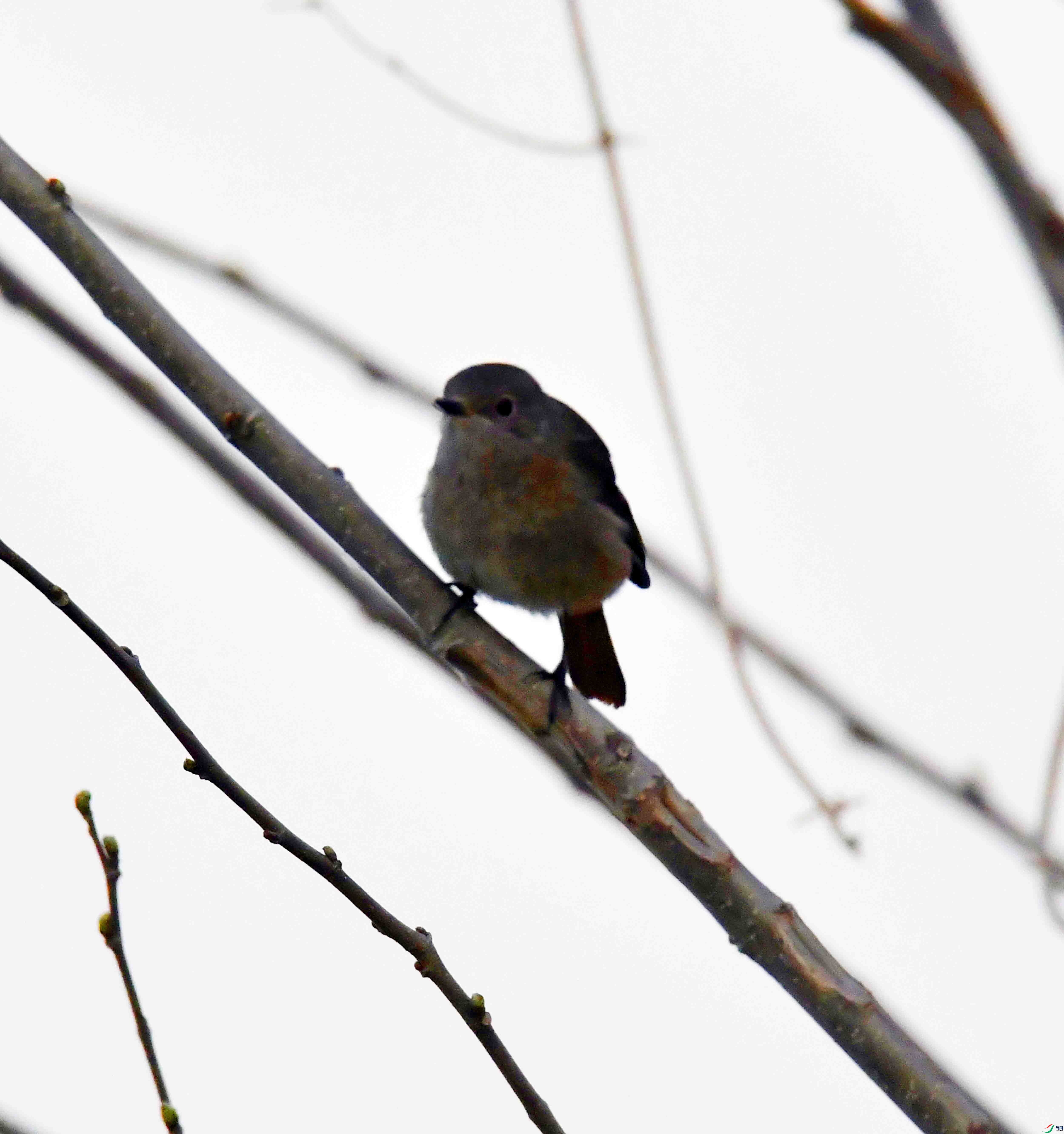DSC_8787.JPG