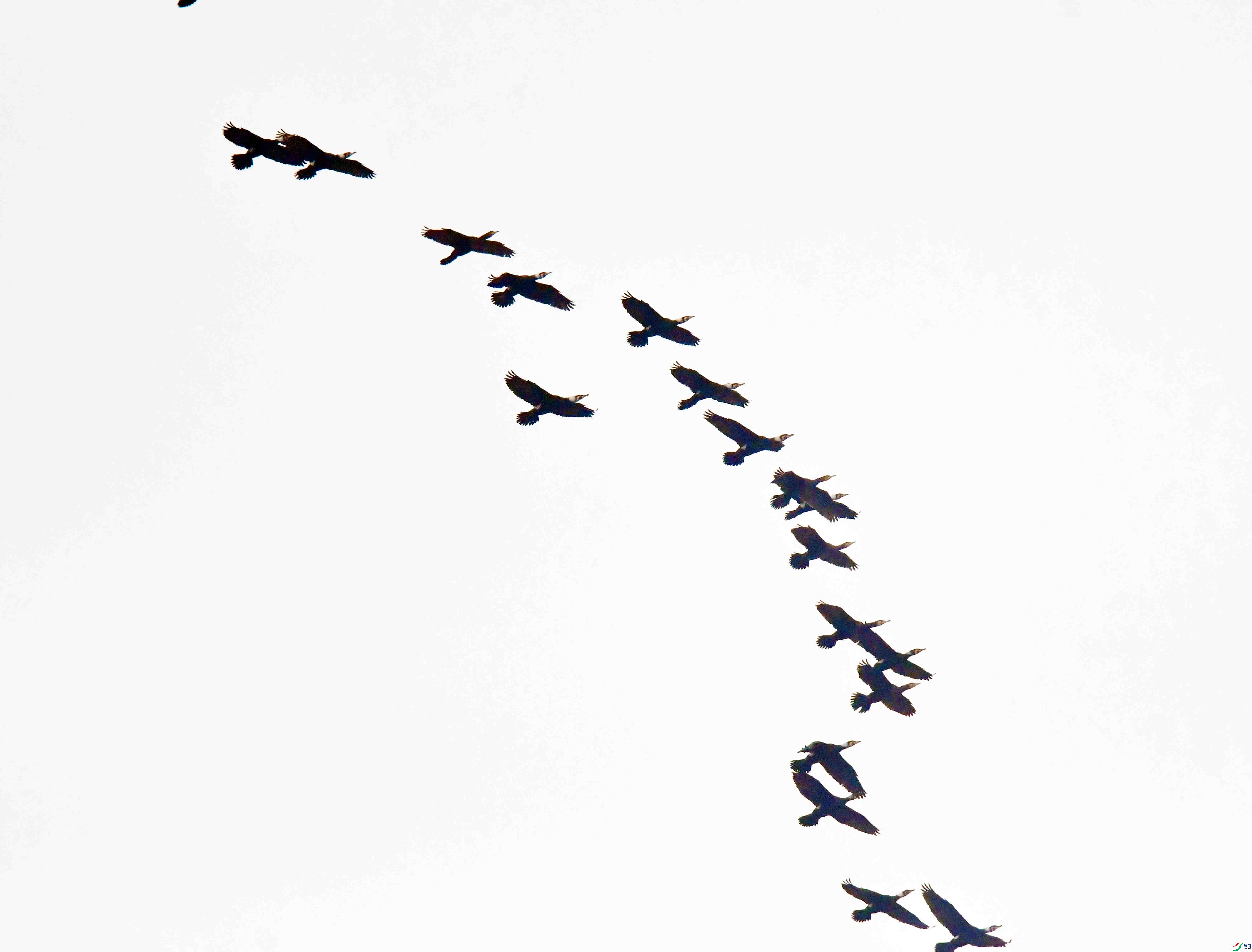 DSC_2916.JPG