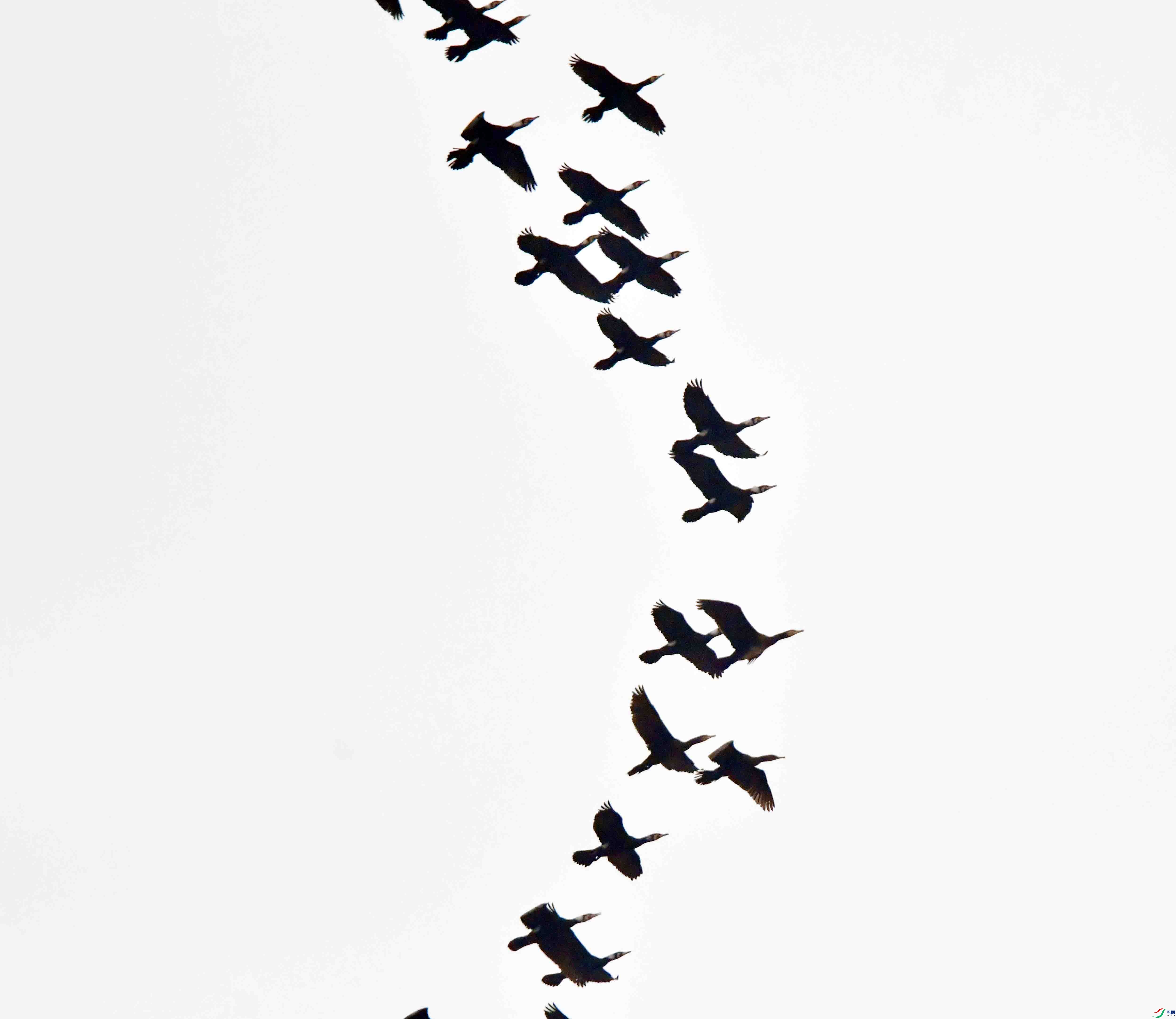 DSC_2940.JPG