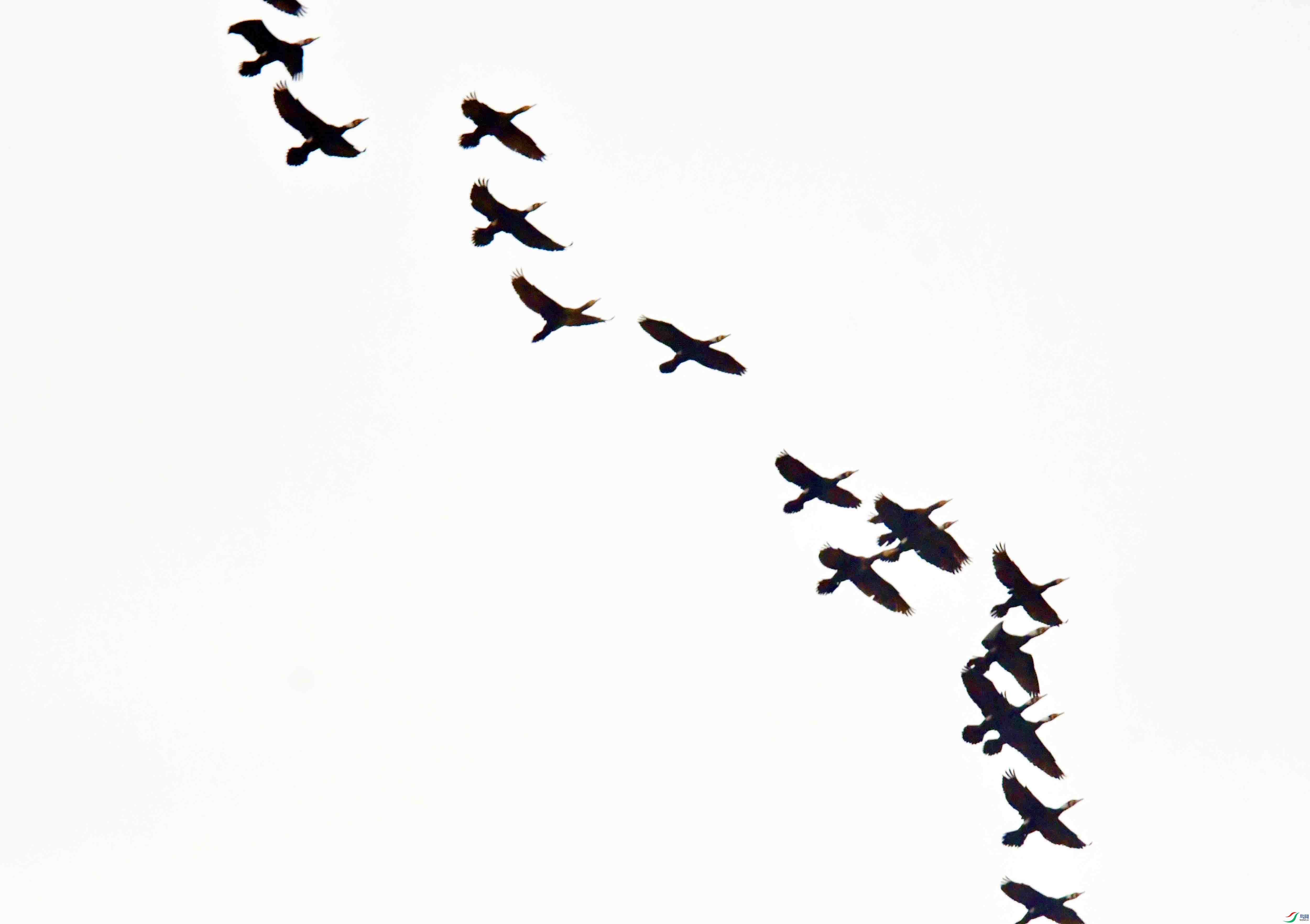 DSC_2944.JPG
