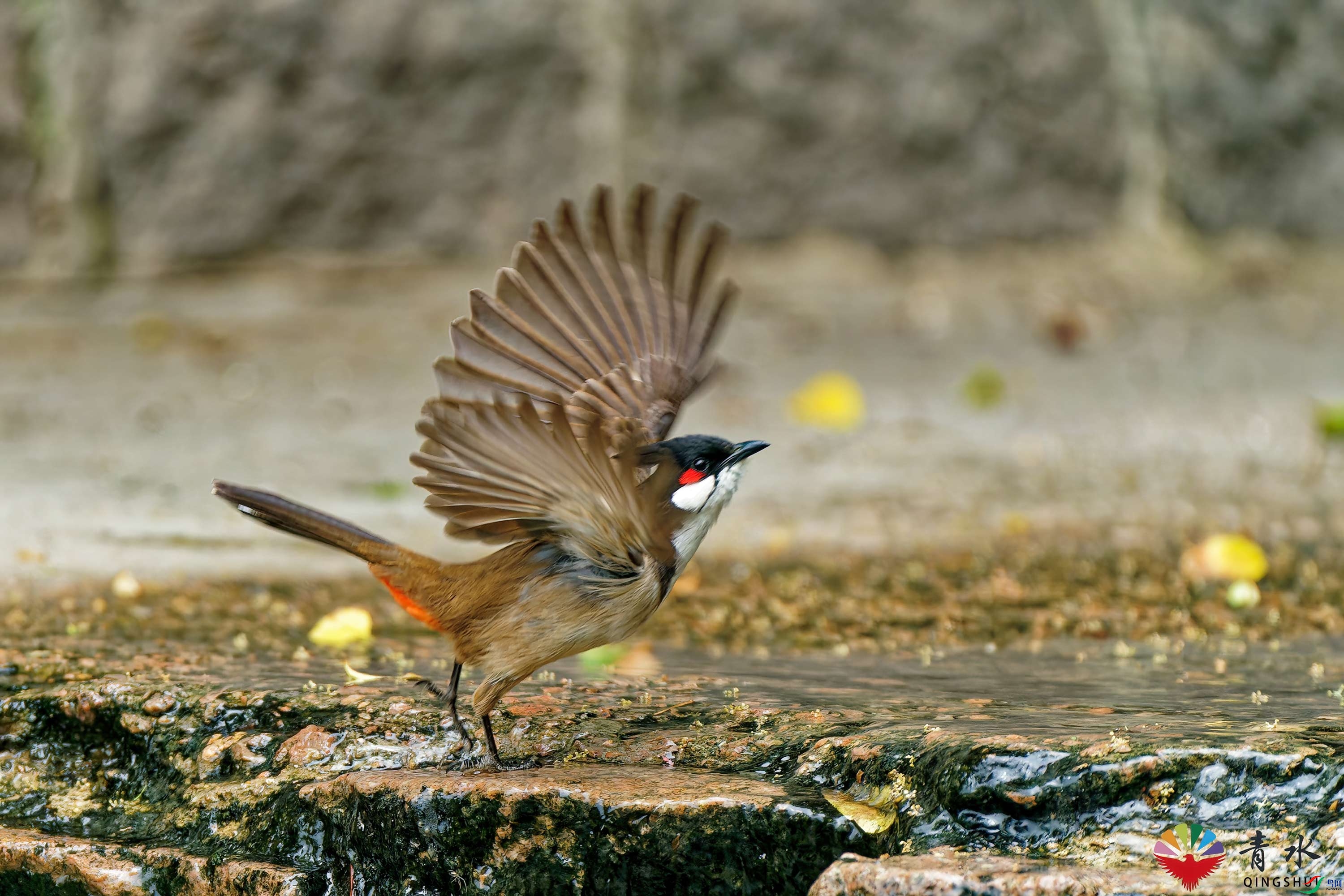 DSC00325_DxO.jpg