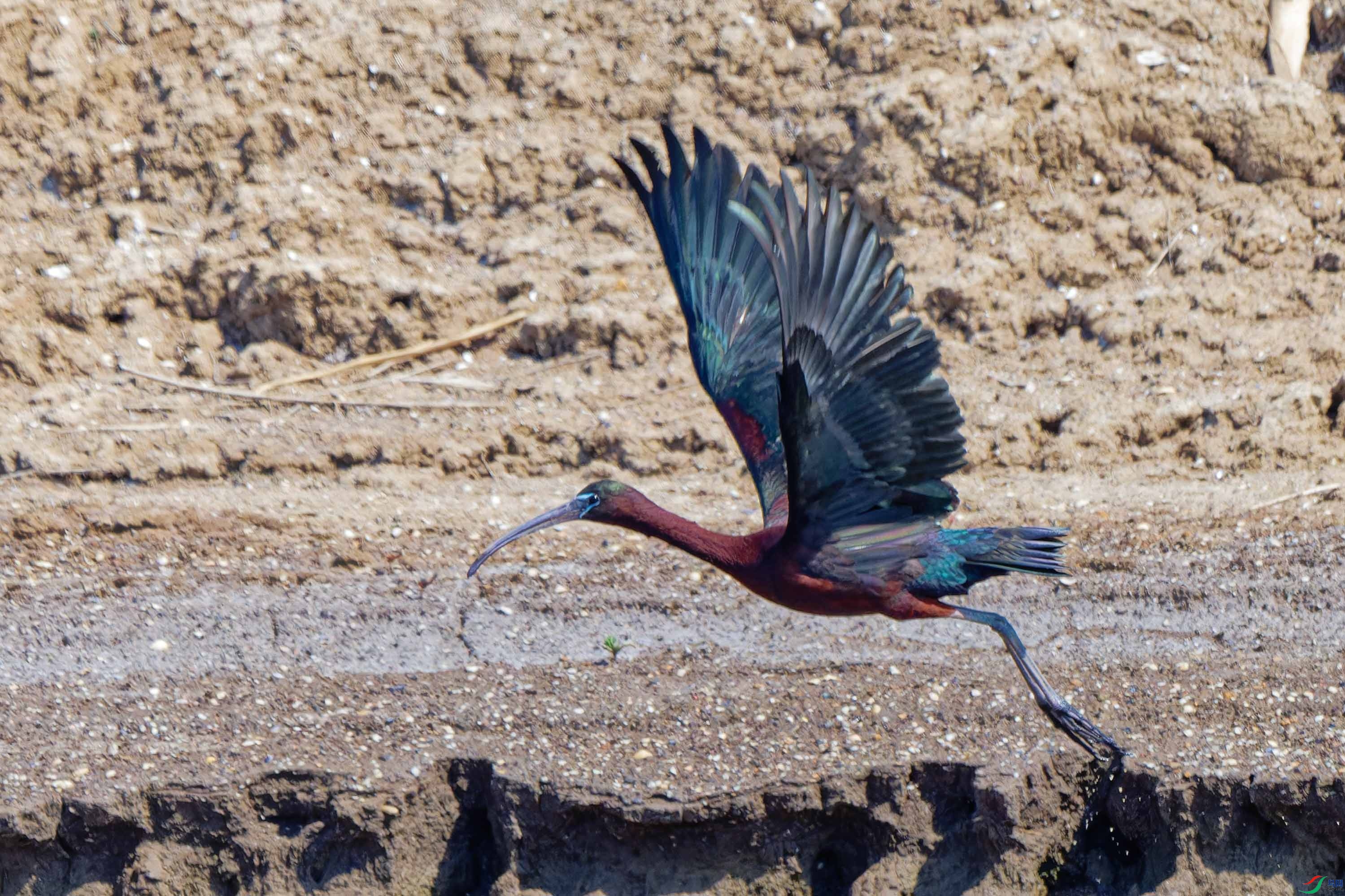 DSC_5992.jpg
