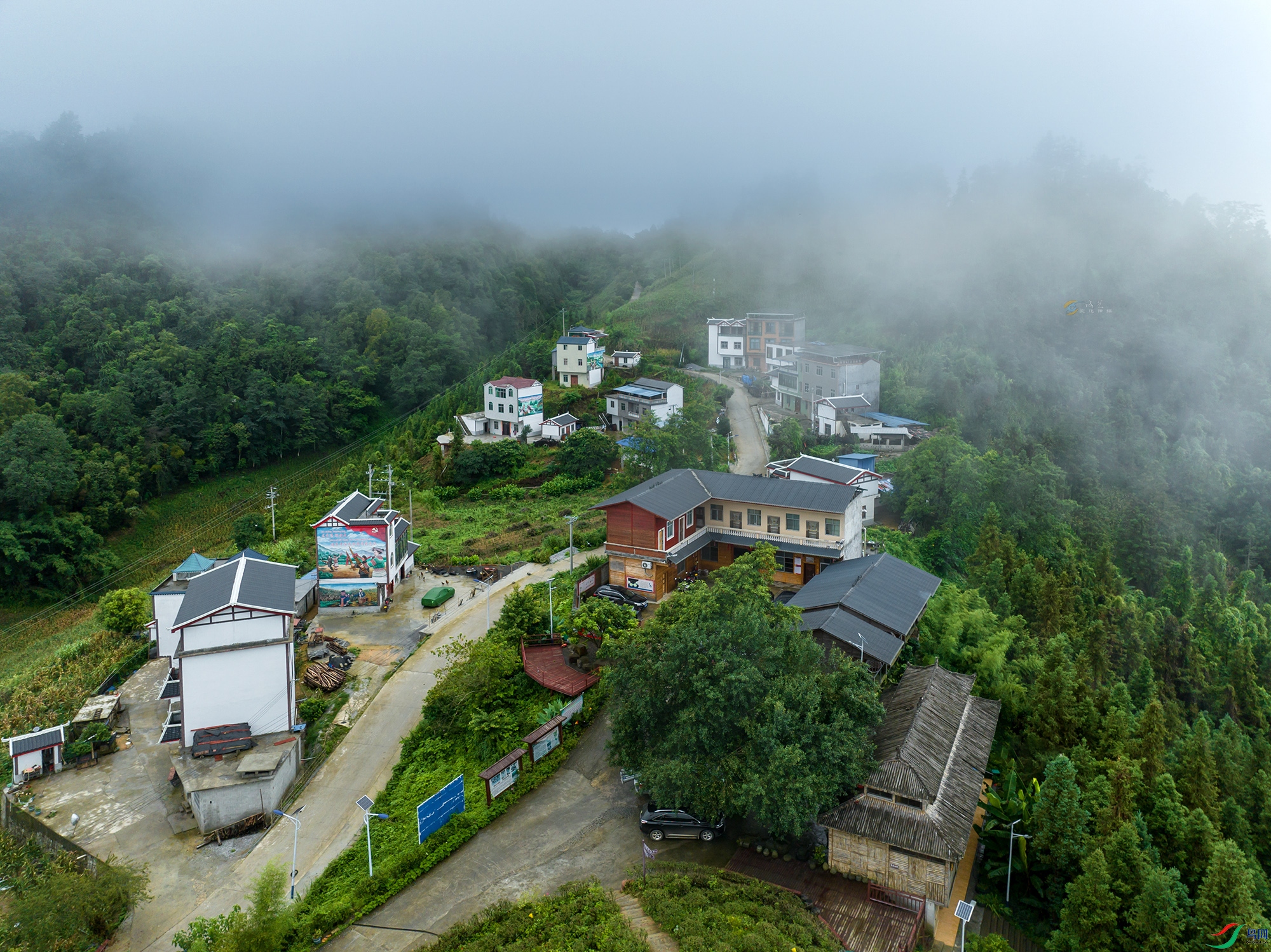 DJI_0860a11 ����.jpg