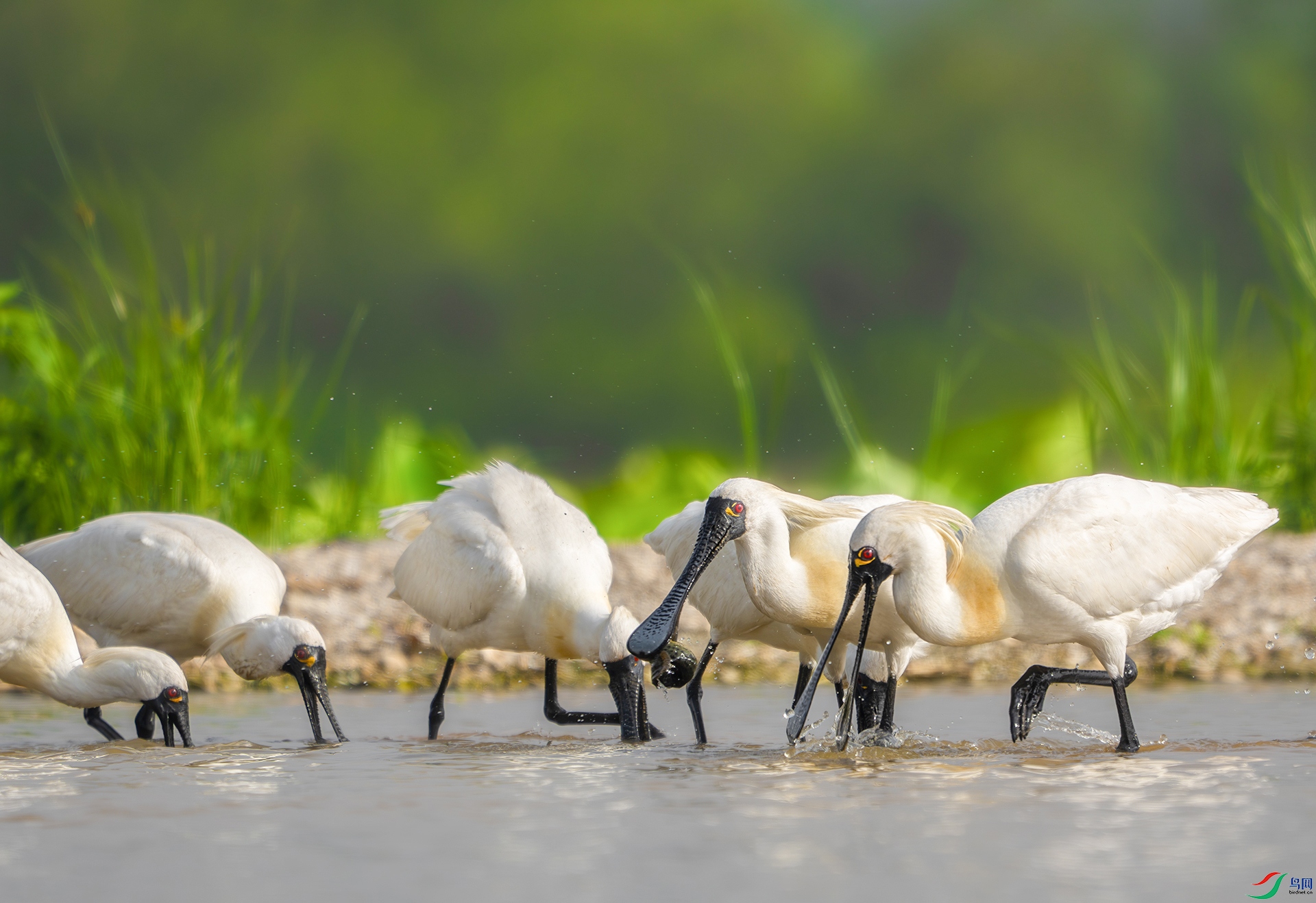 DSC00260-����ǿ-NR ����.jpg