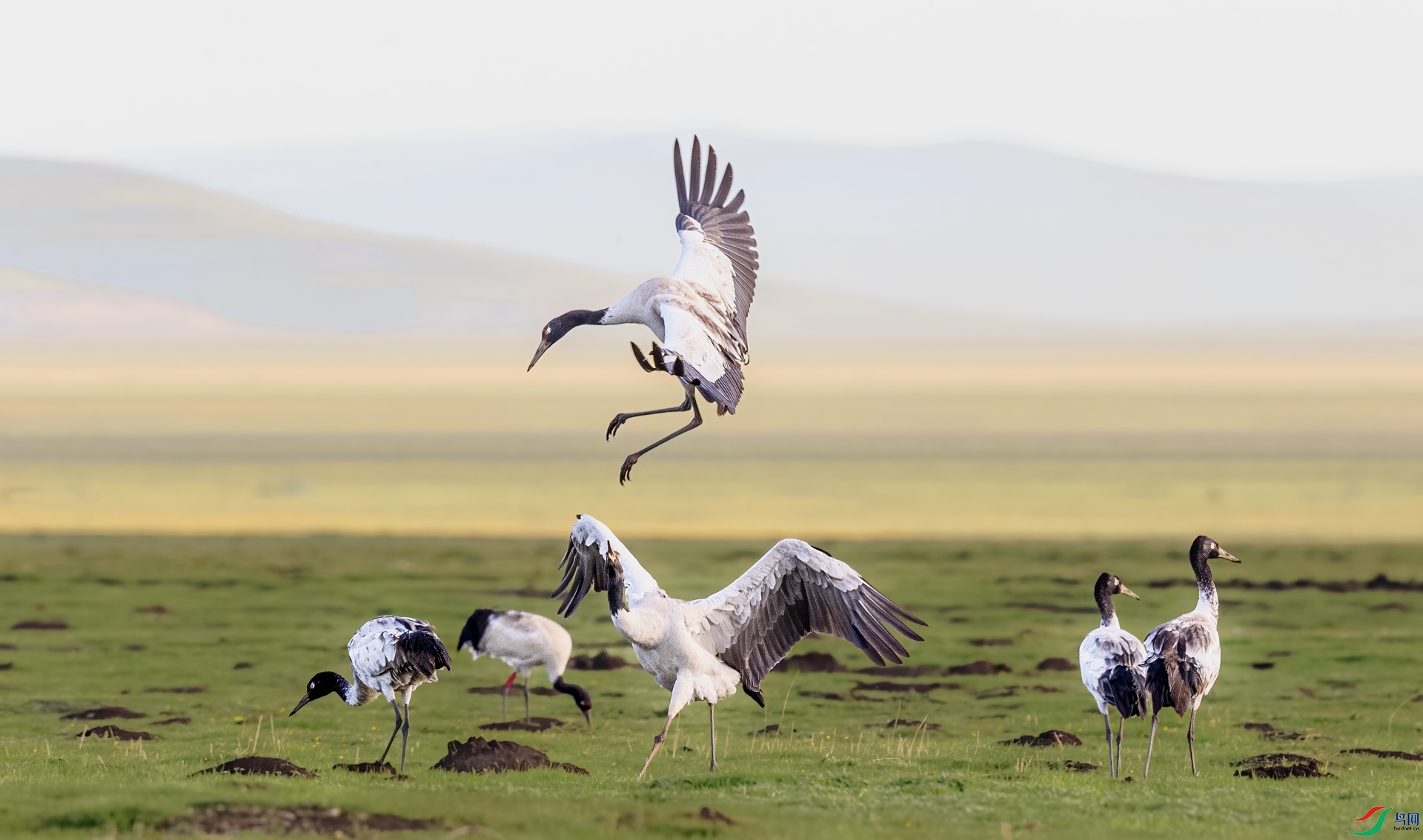 _J1R0429-1.jpg