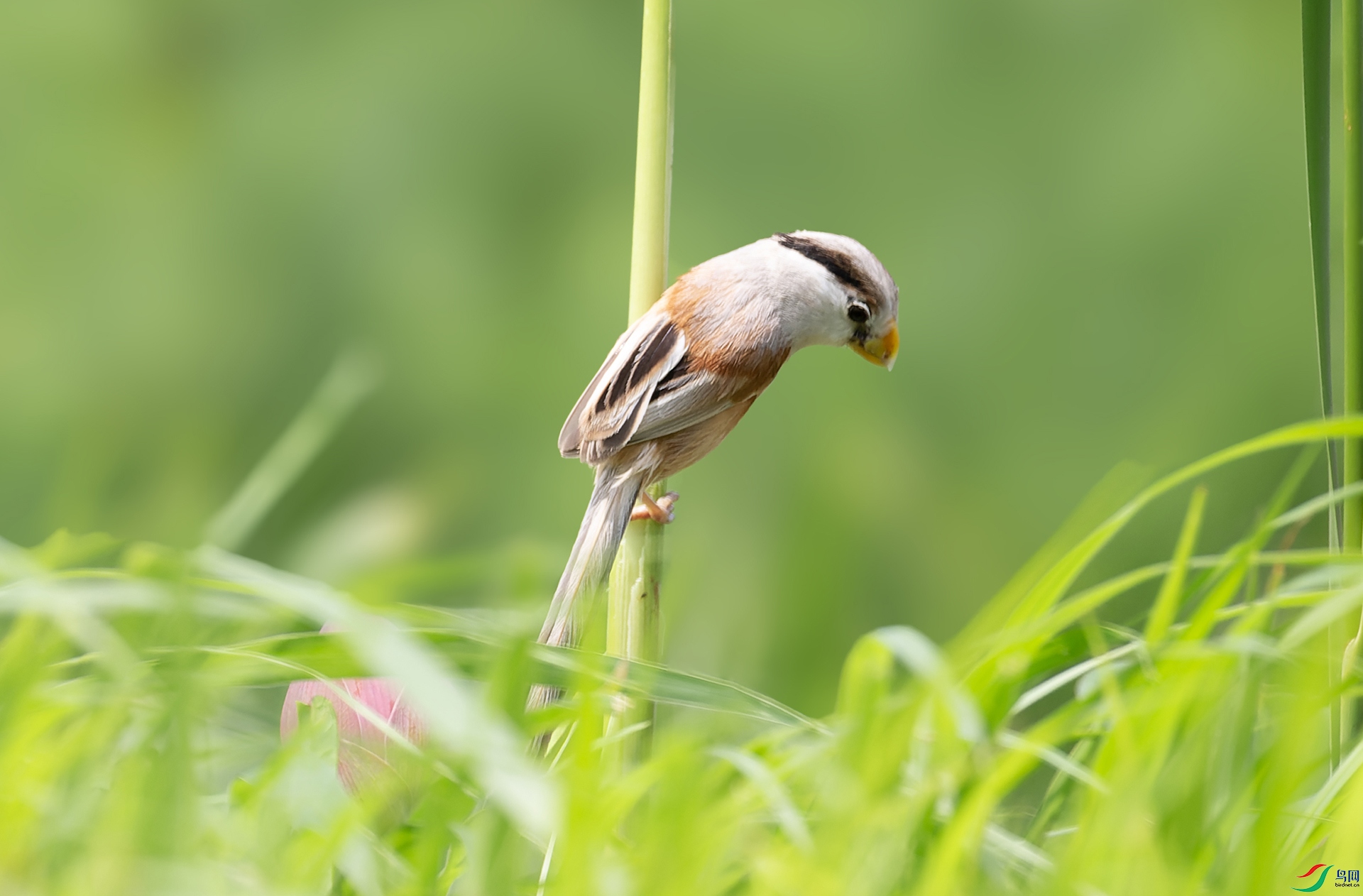 4X7B5249-CR2_DxO_DeepPRIME ����.jpg